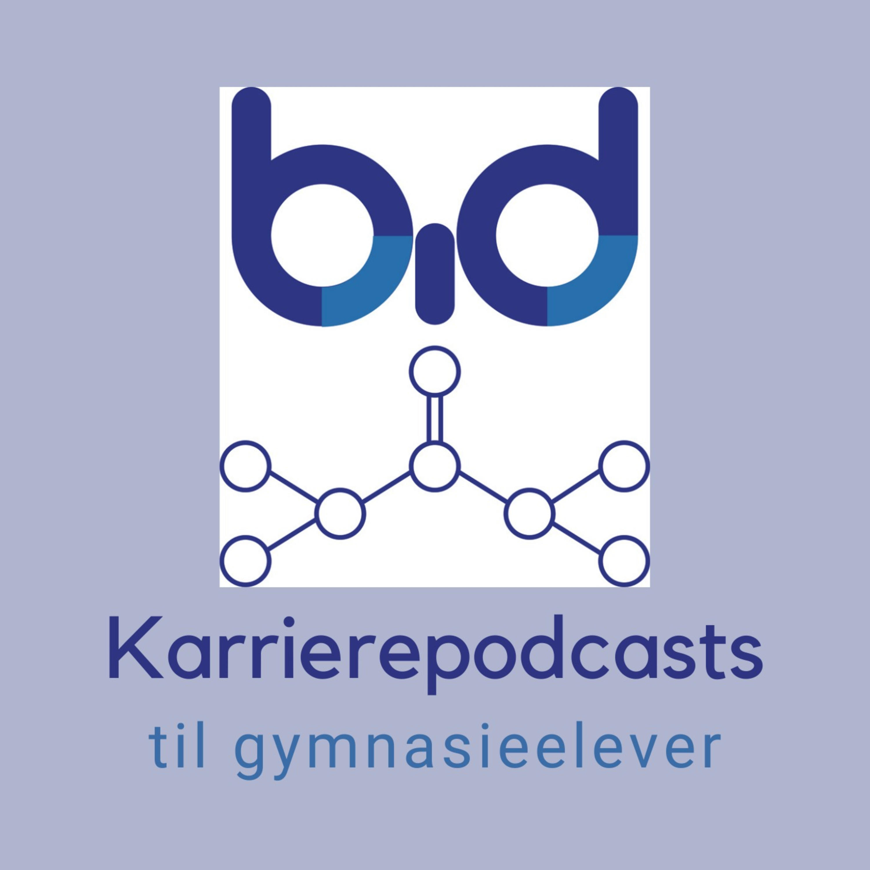 Karrierepodcasts af BiD