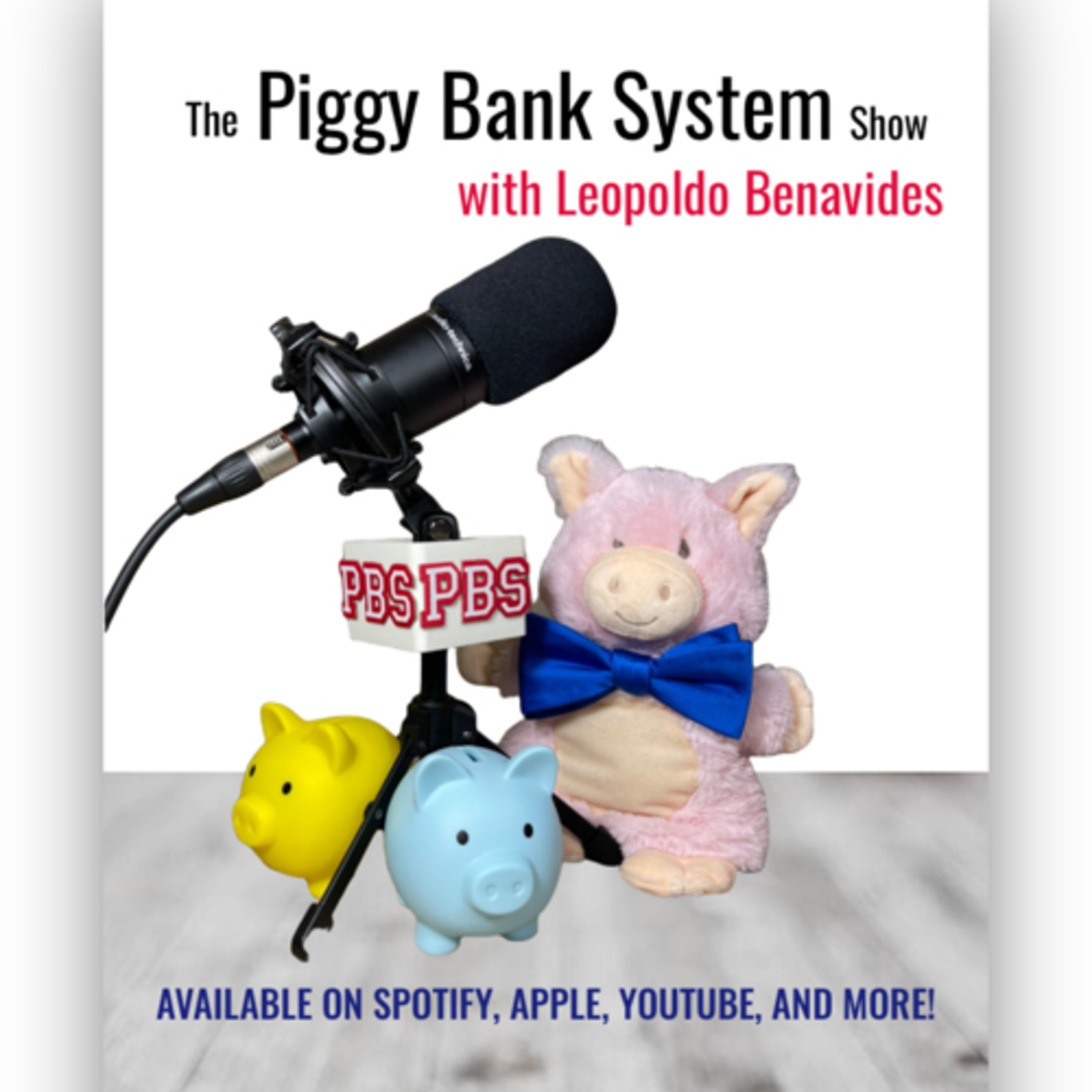 The Piggy Bank System Show