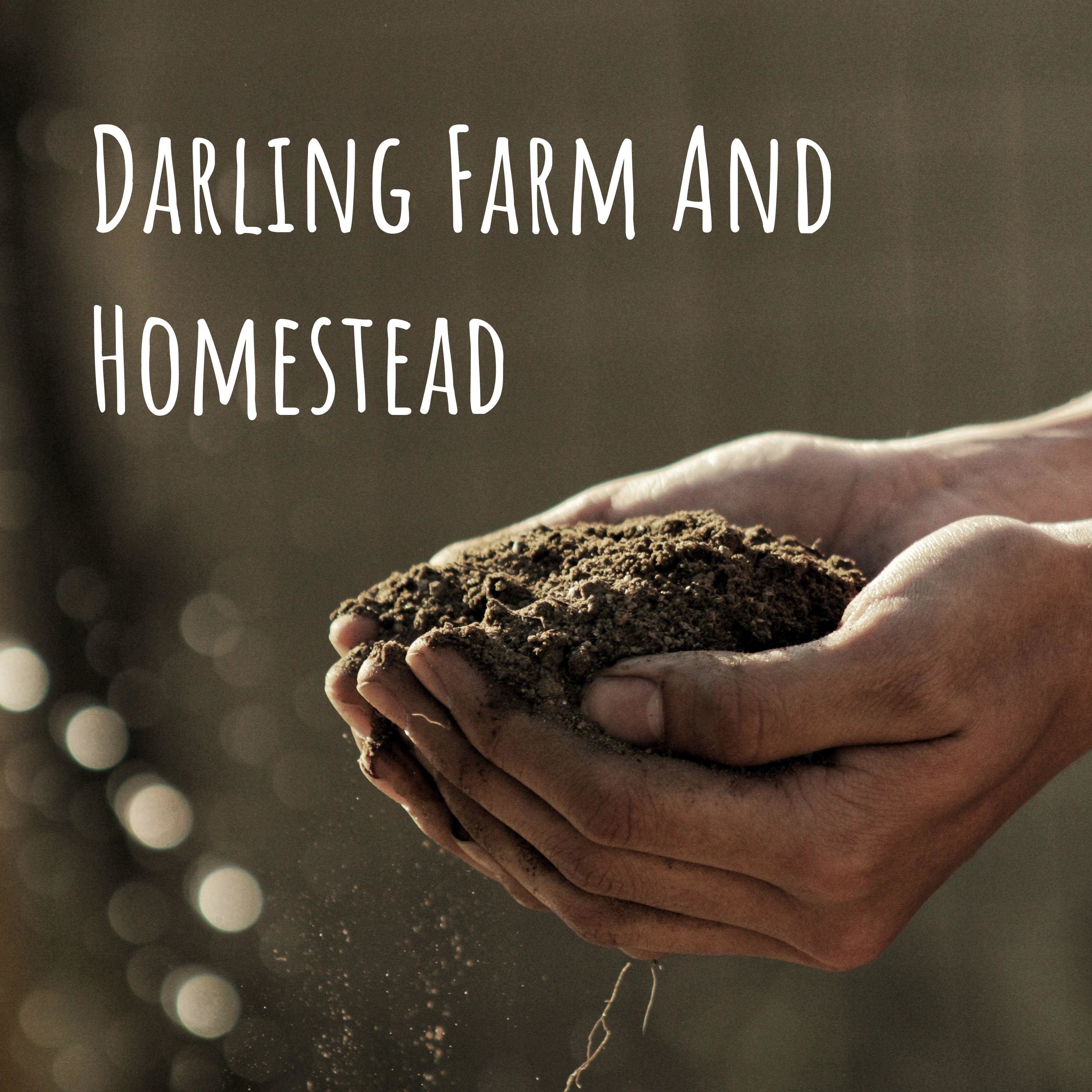 Darling Farm And Homestead