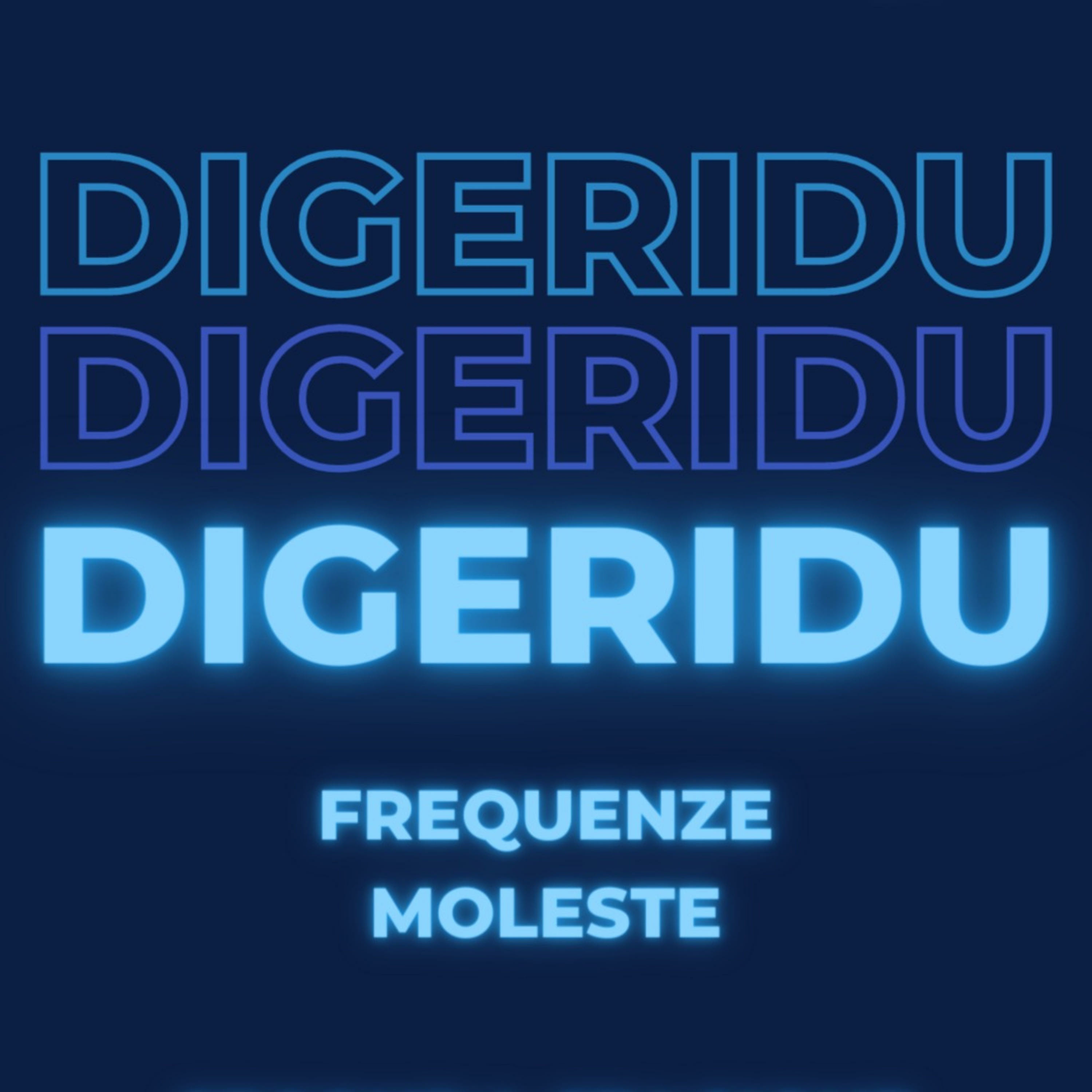 DIGERIDU