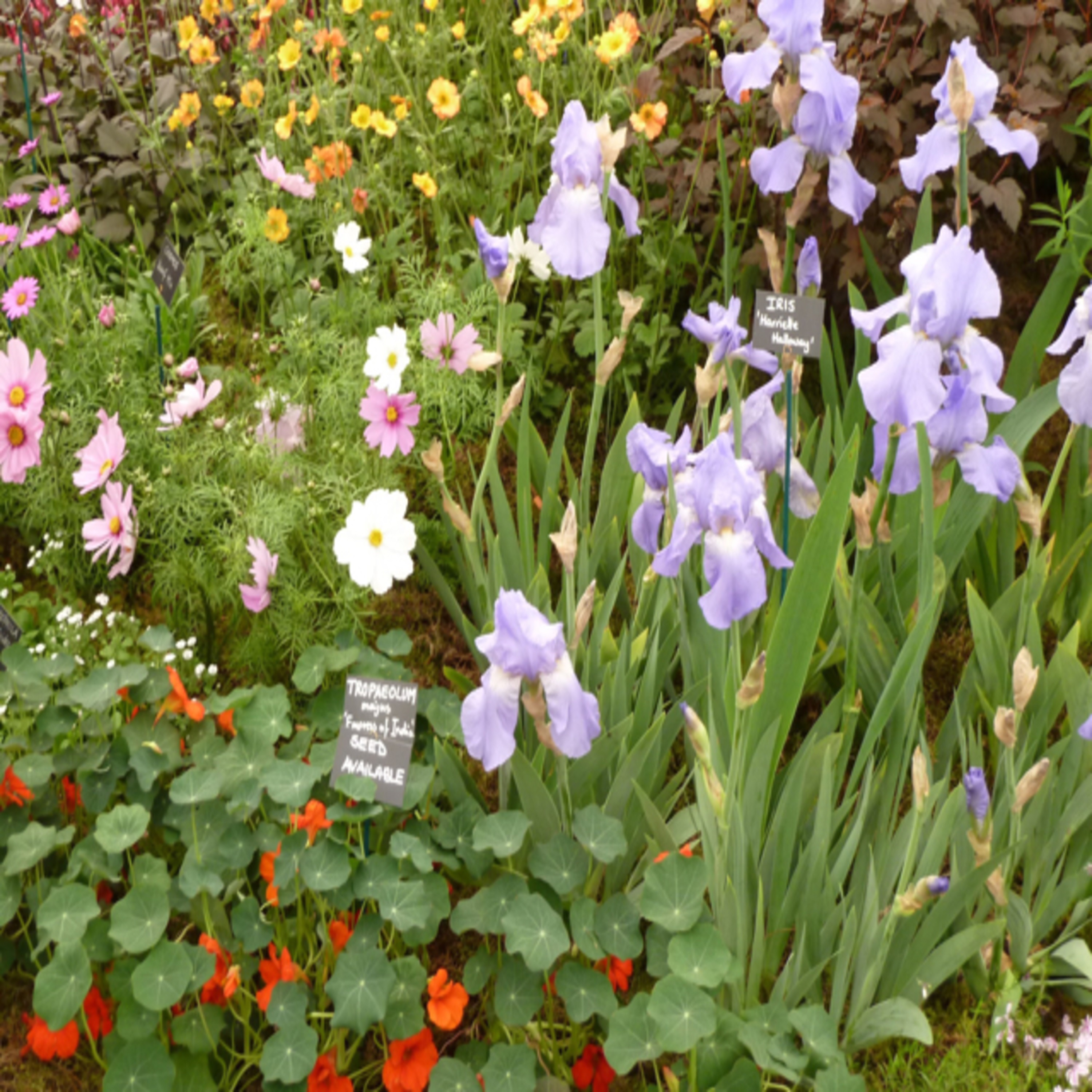 2012 - London in Spring episode artwork