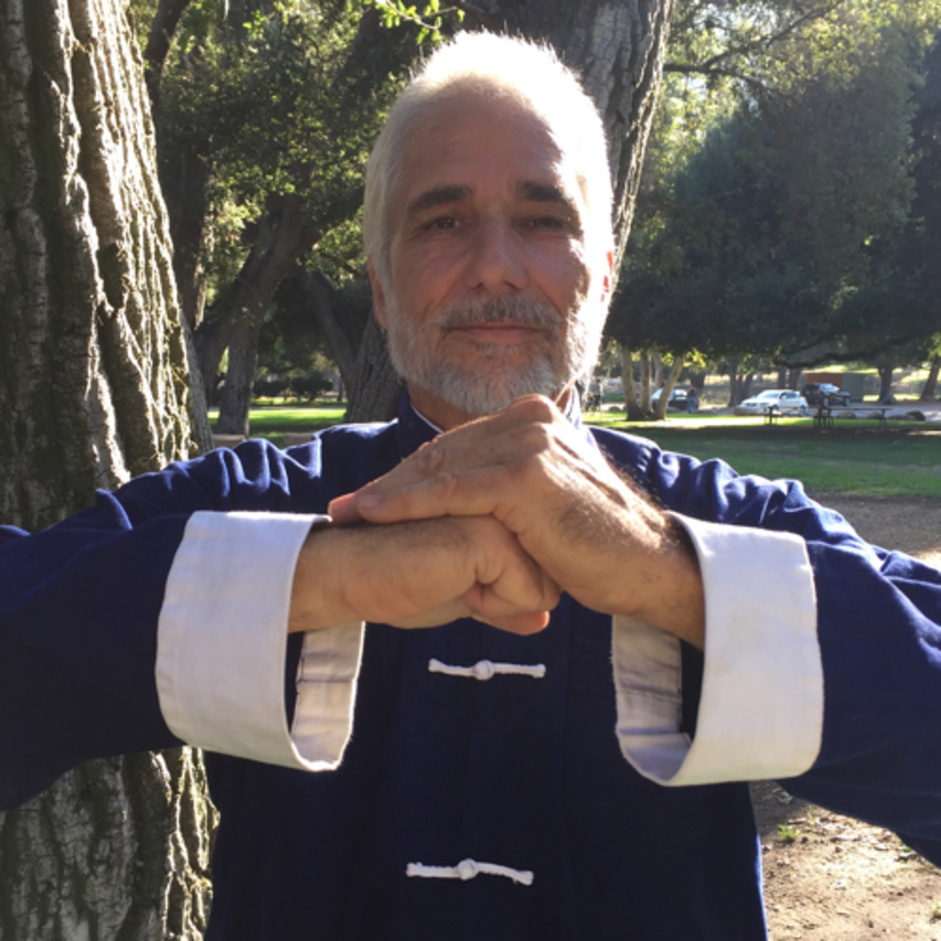 Shaolin Chi Mantis Traditional Buddhist Kung Fu Podcast