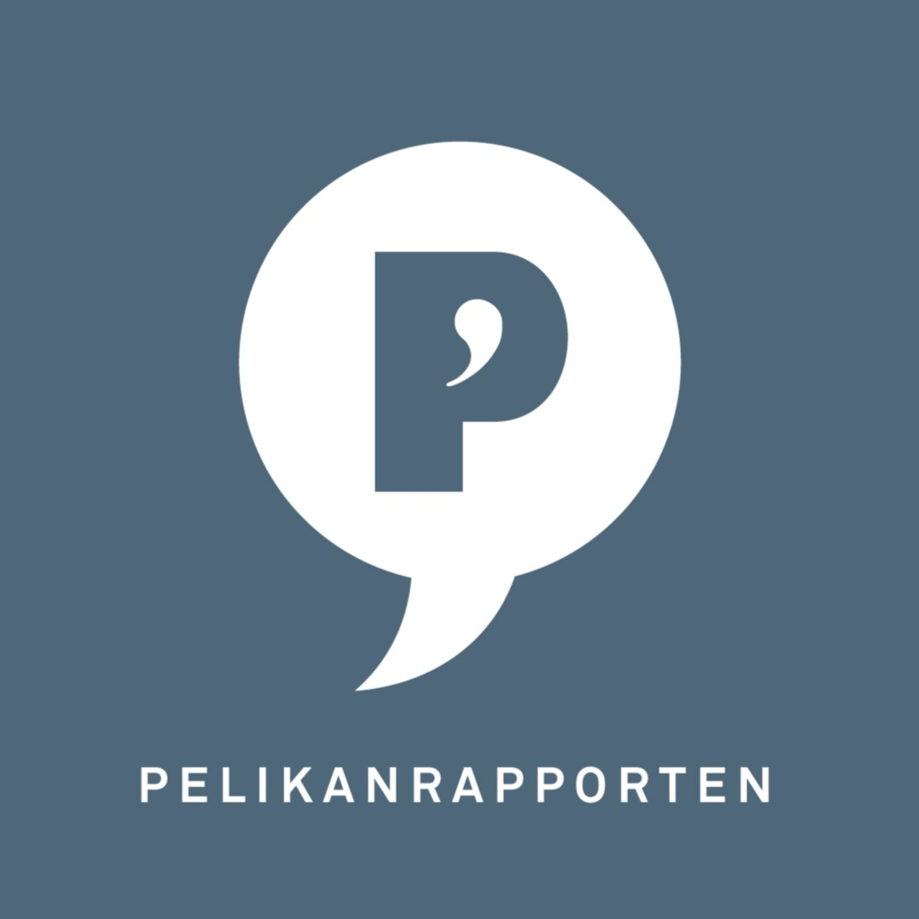 Pelikanrapporten