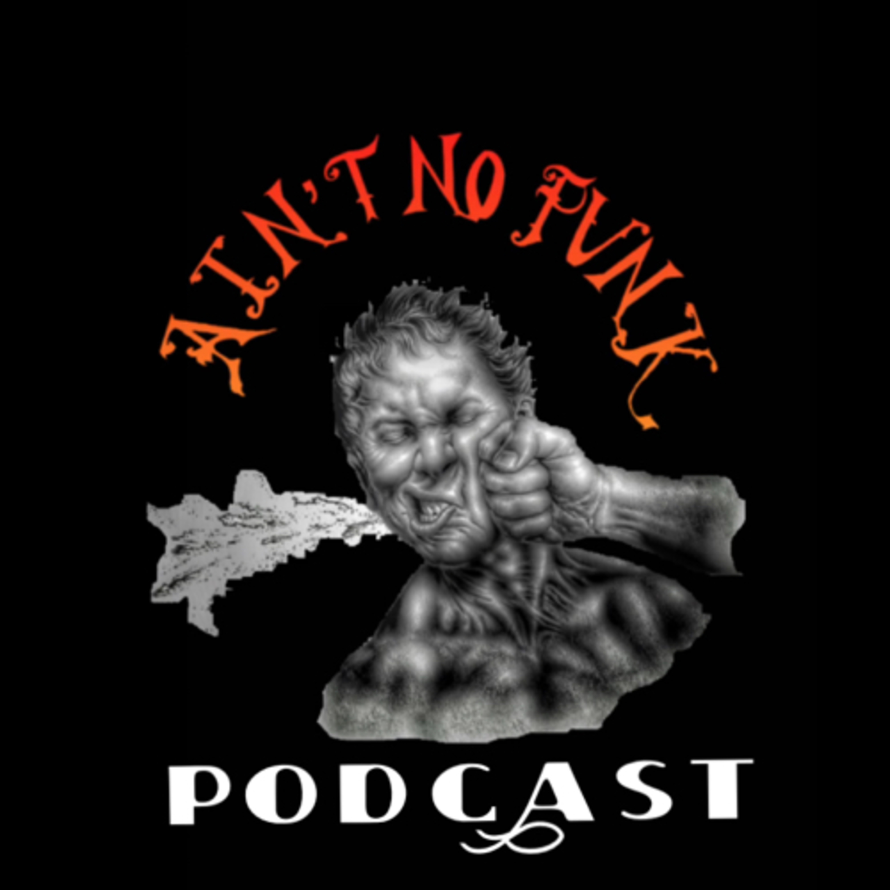 AIN’T NO PUNK PODCAST episode #1