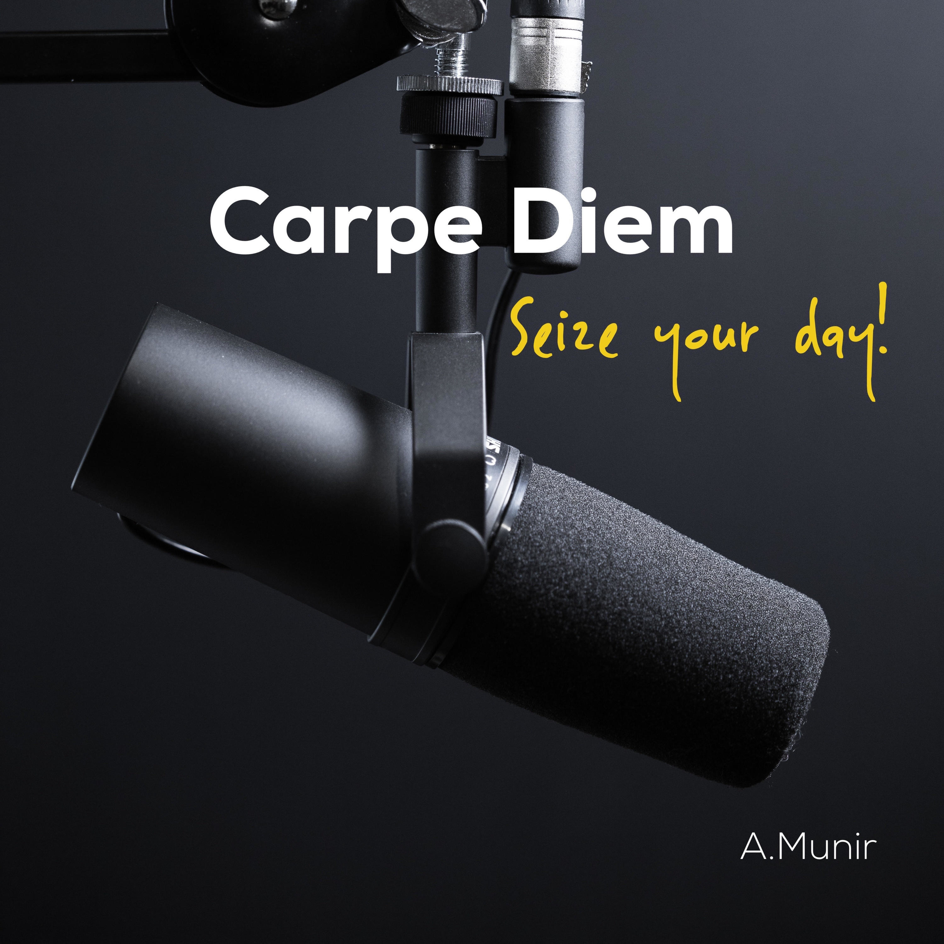 Carpe diem - Seize your day! podcast artwork