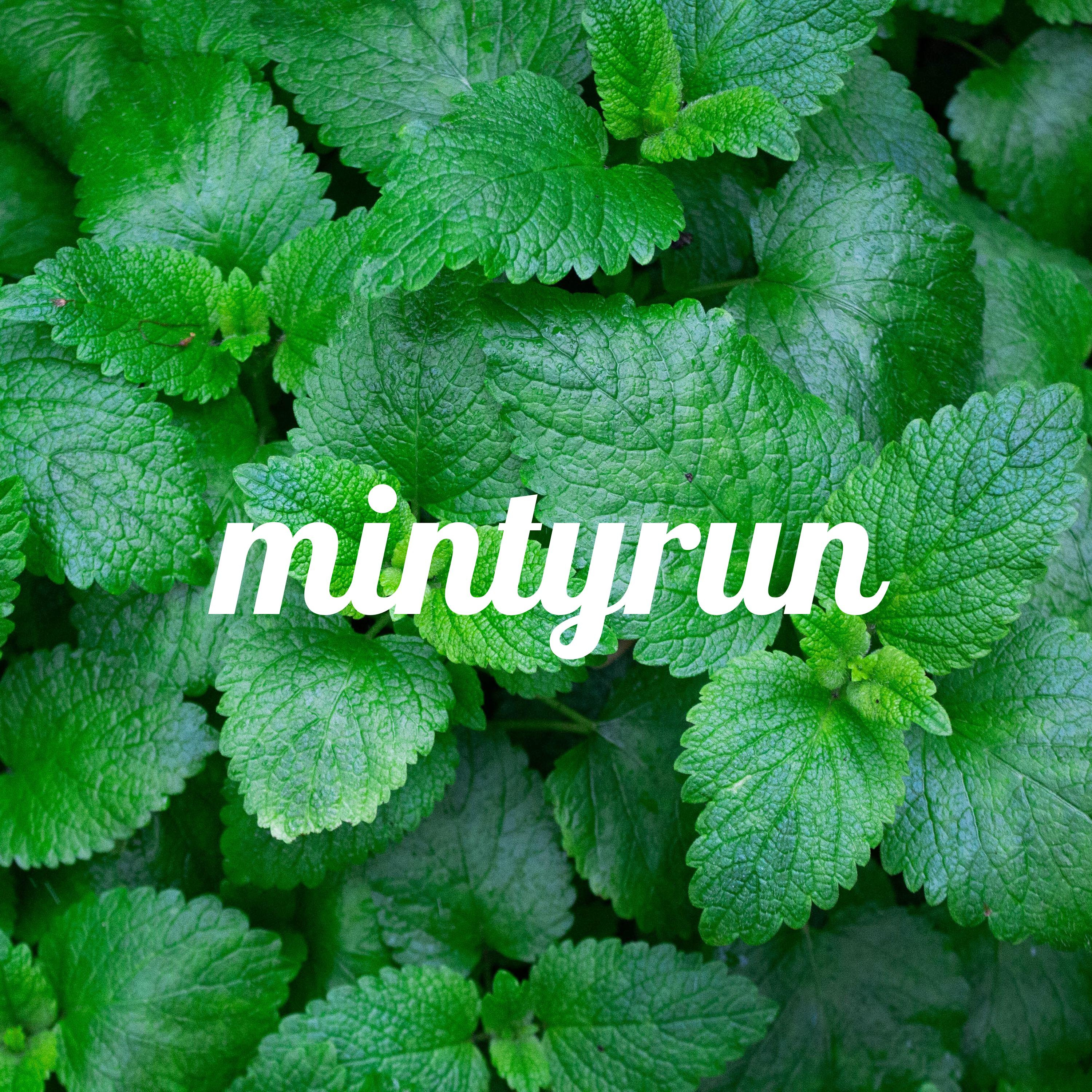 민티런 mintyrun