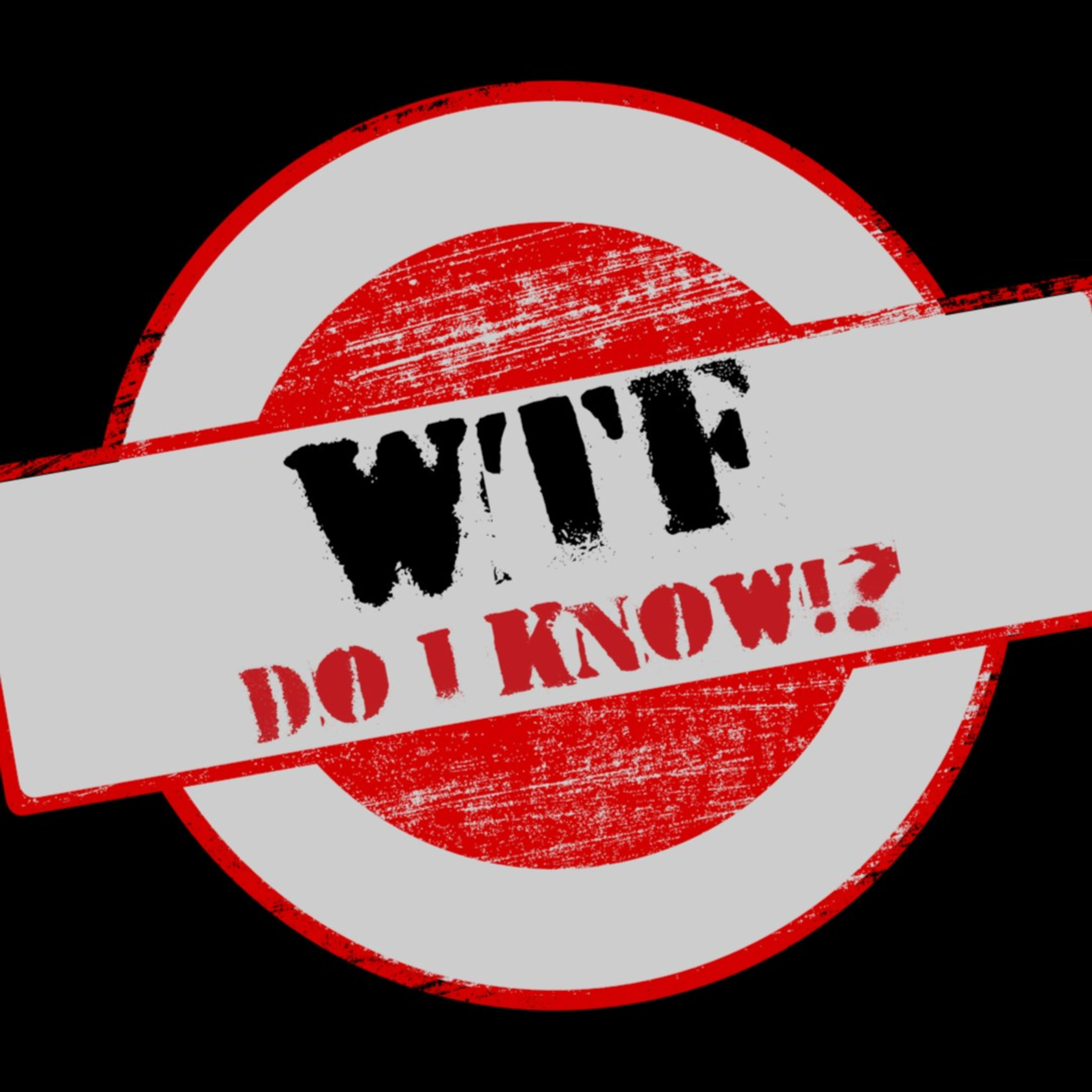 WTF Do I Know Podcast podcast artwork