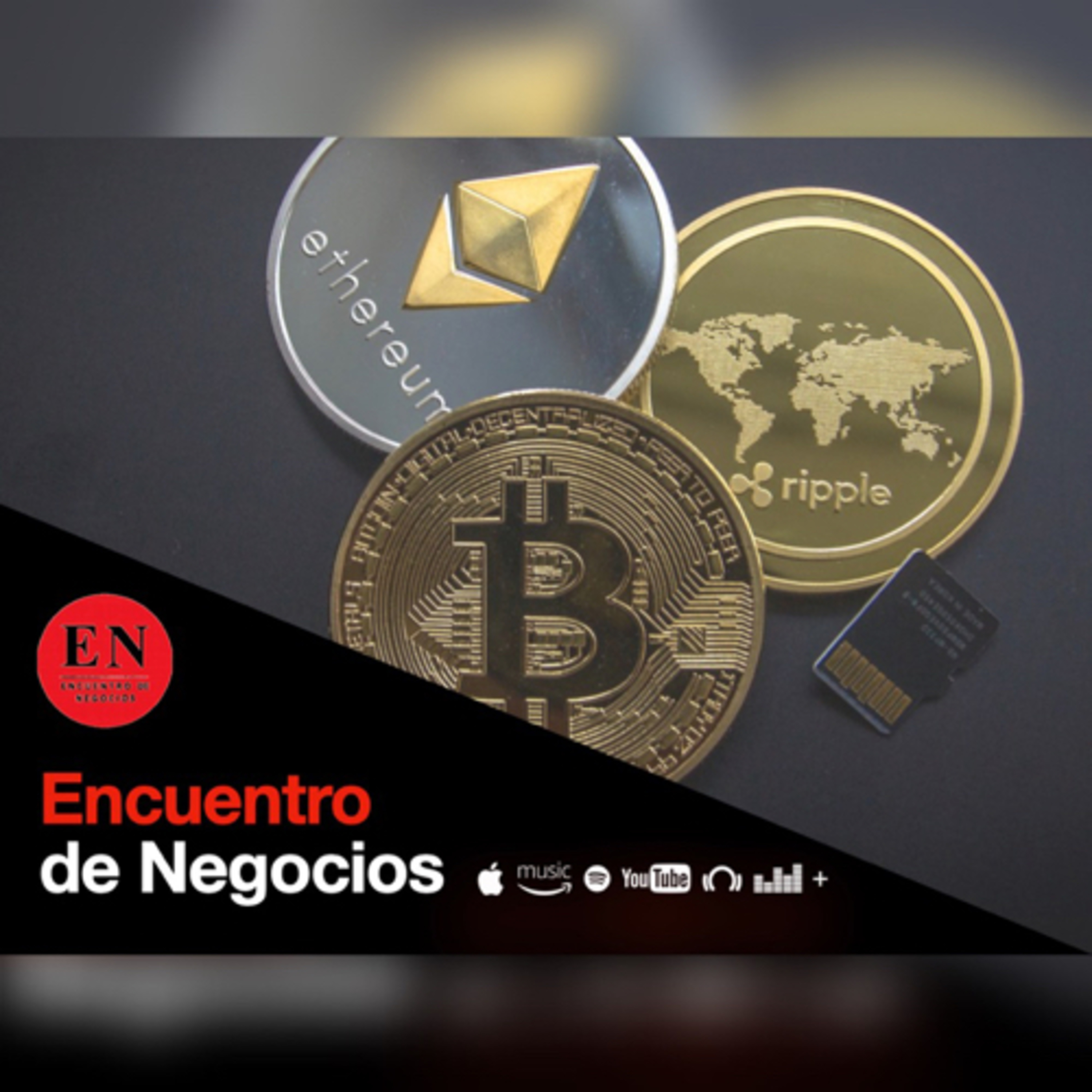 Encuentro de Negocios
