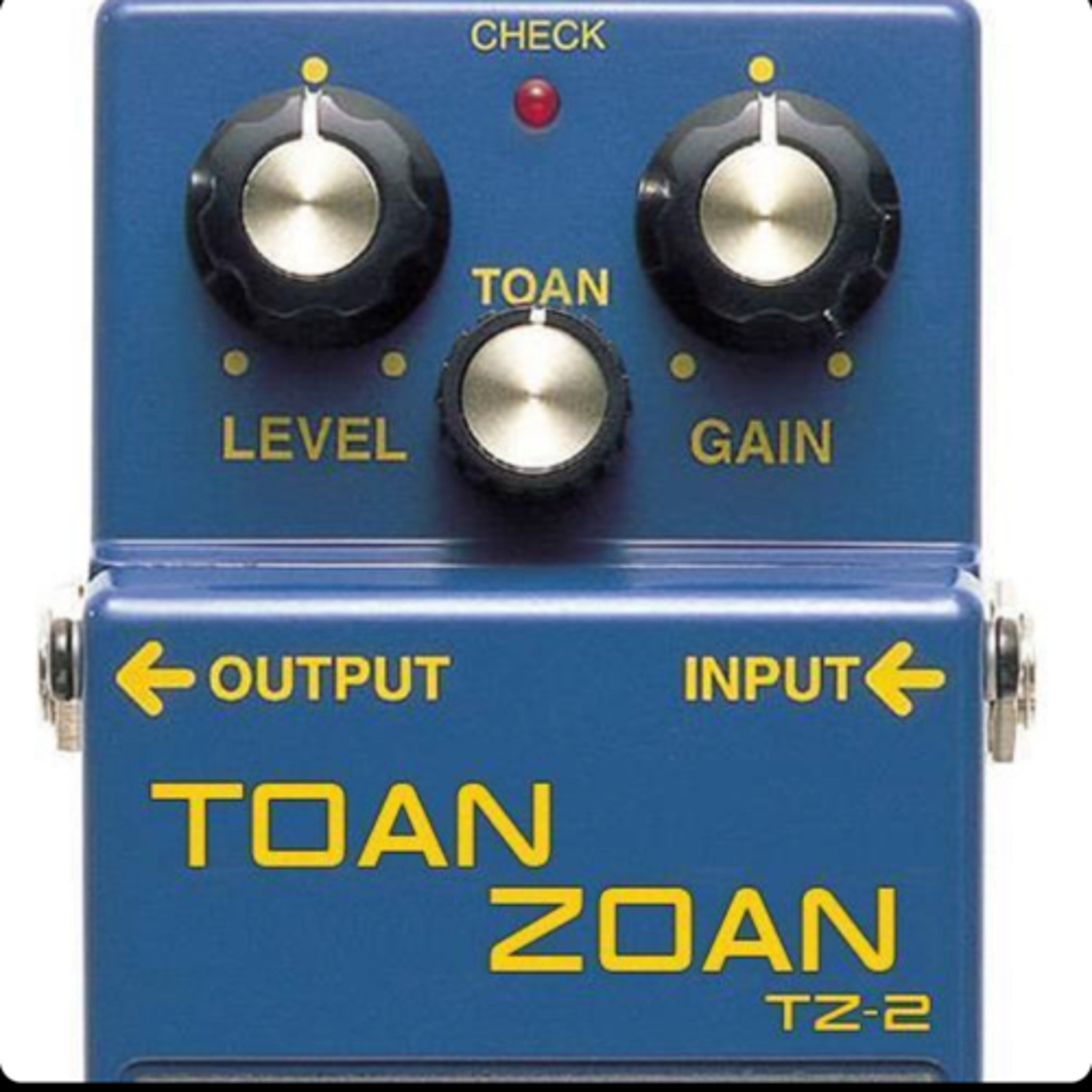 The Toan Zoan podcast artwork