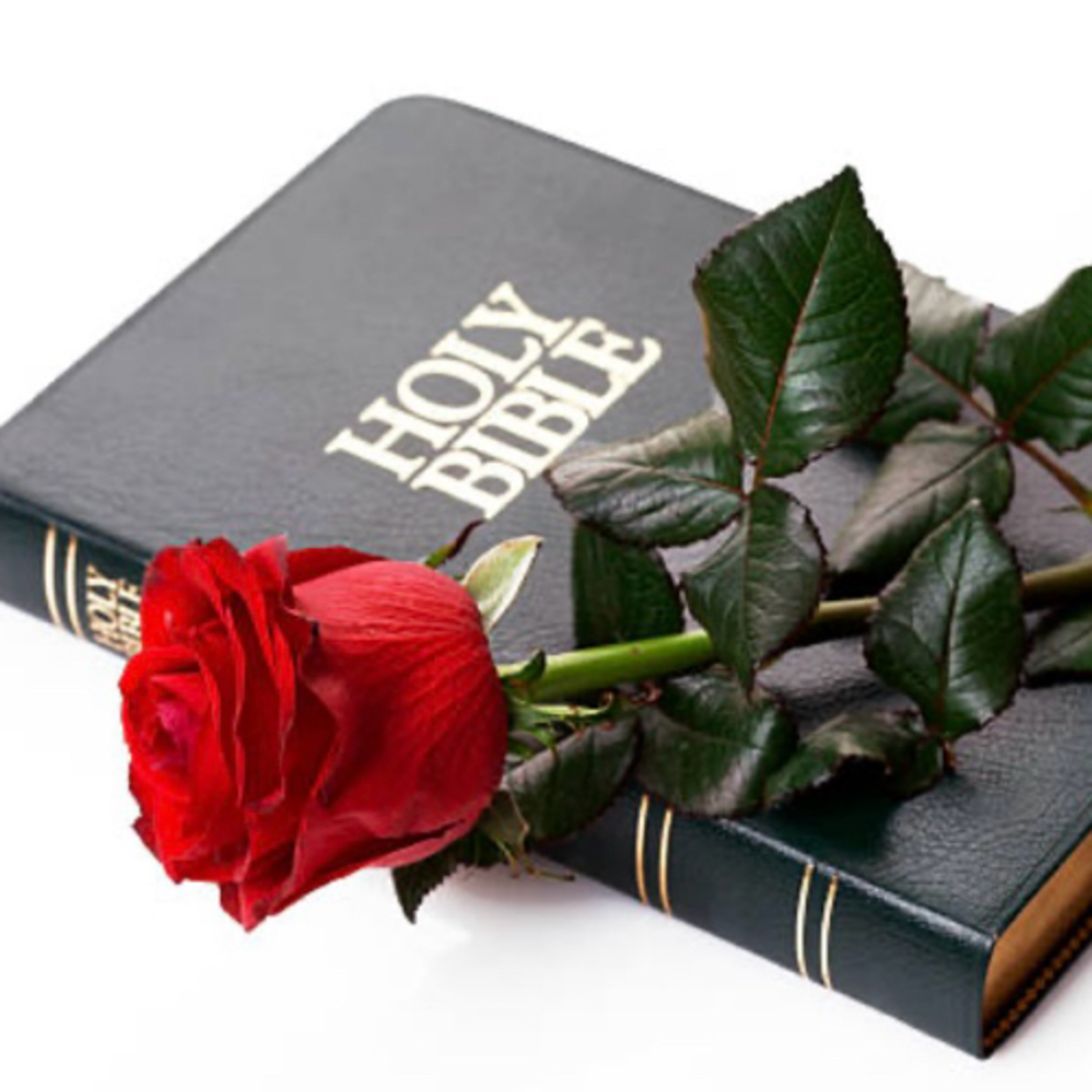 Bible Discussions