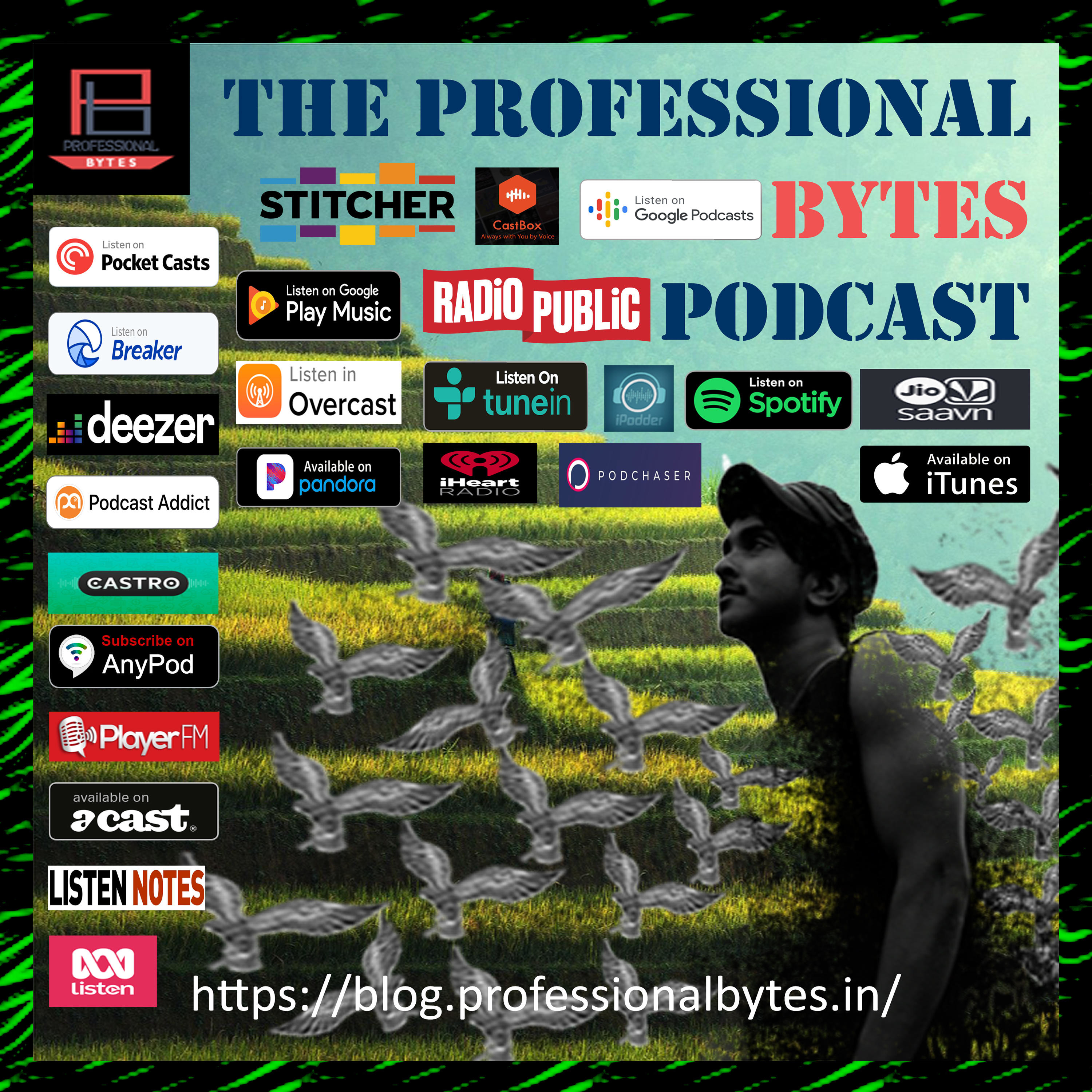 The Professional Bytes Podcast