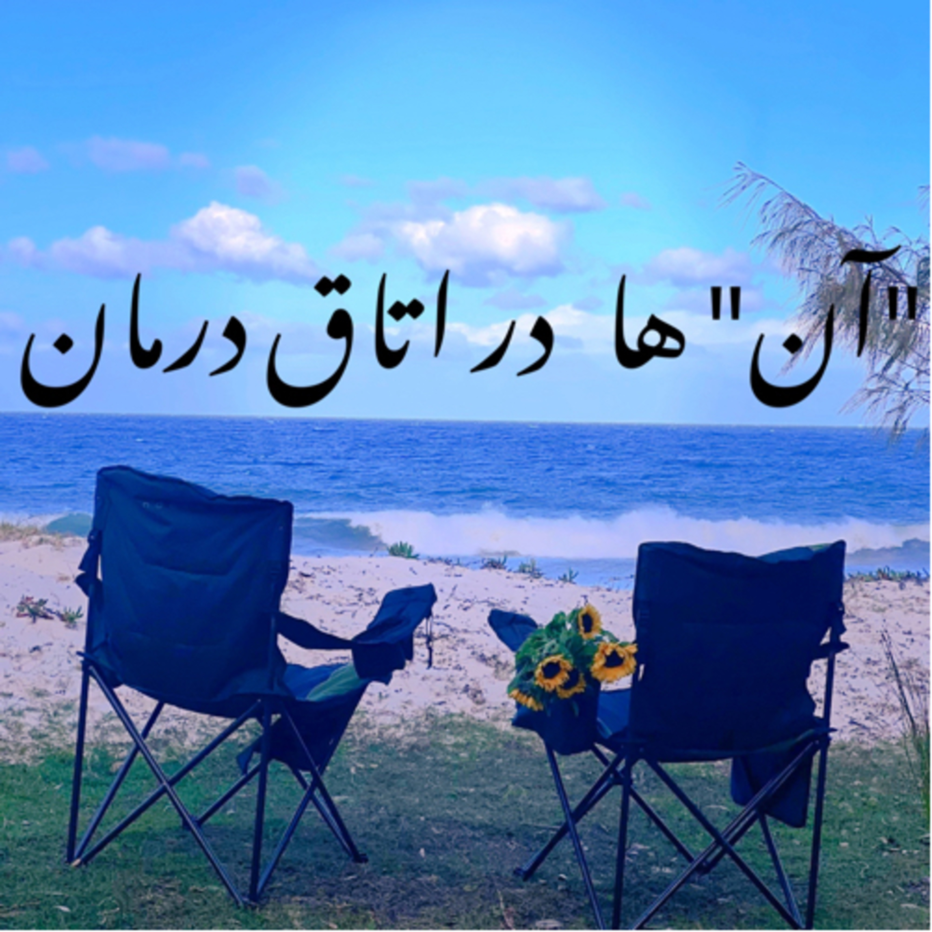 آن ها