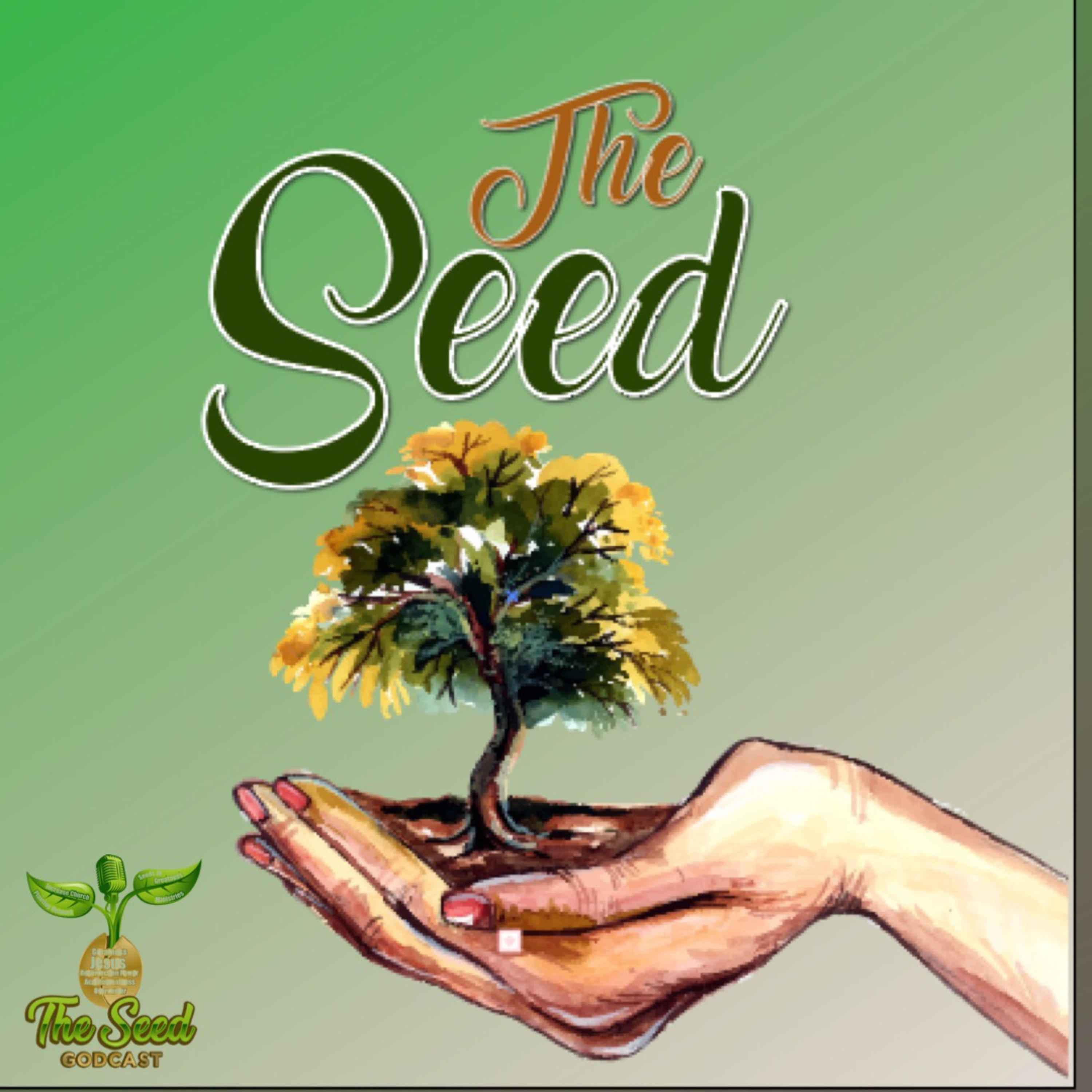 The Seed podcast artwork