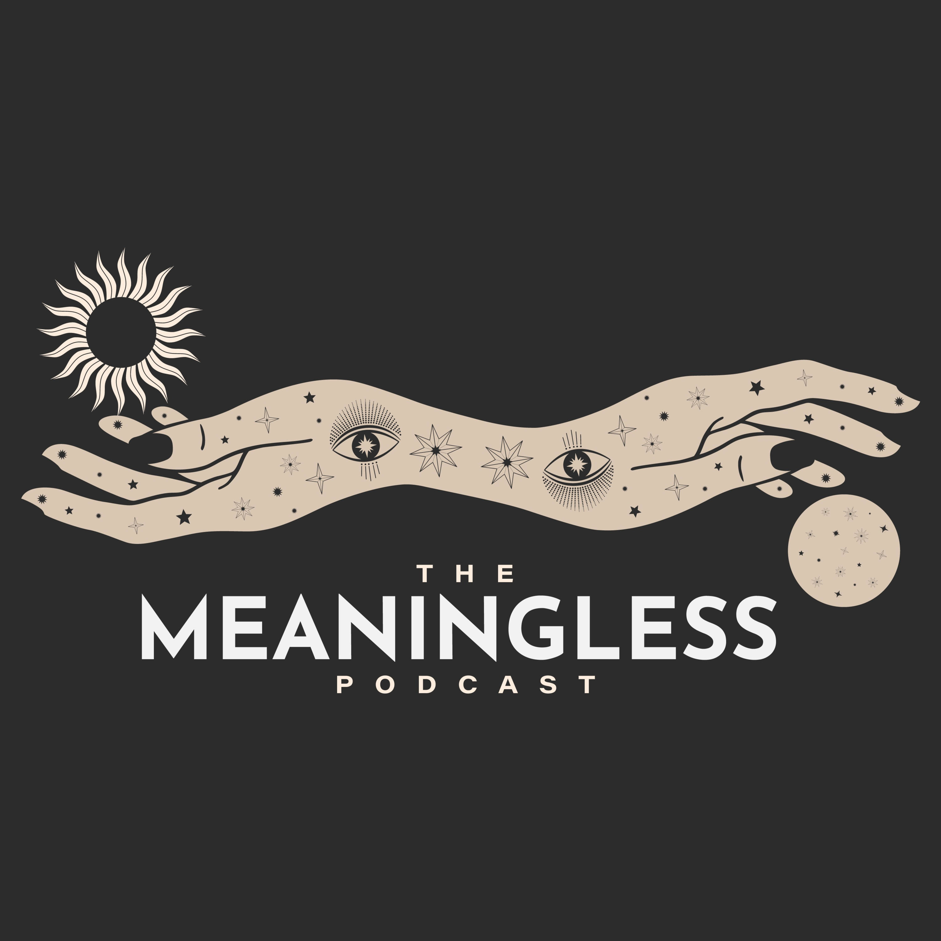The Meaningless Podcast podcast artwork