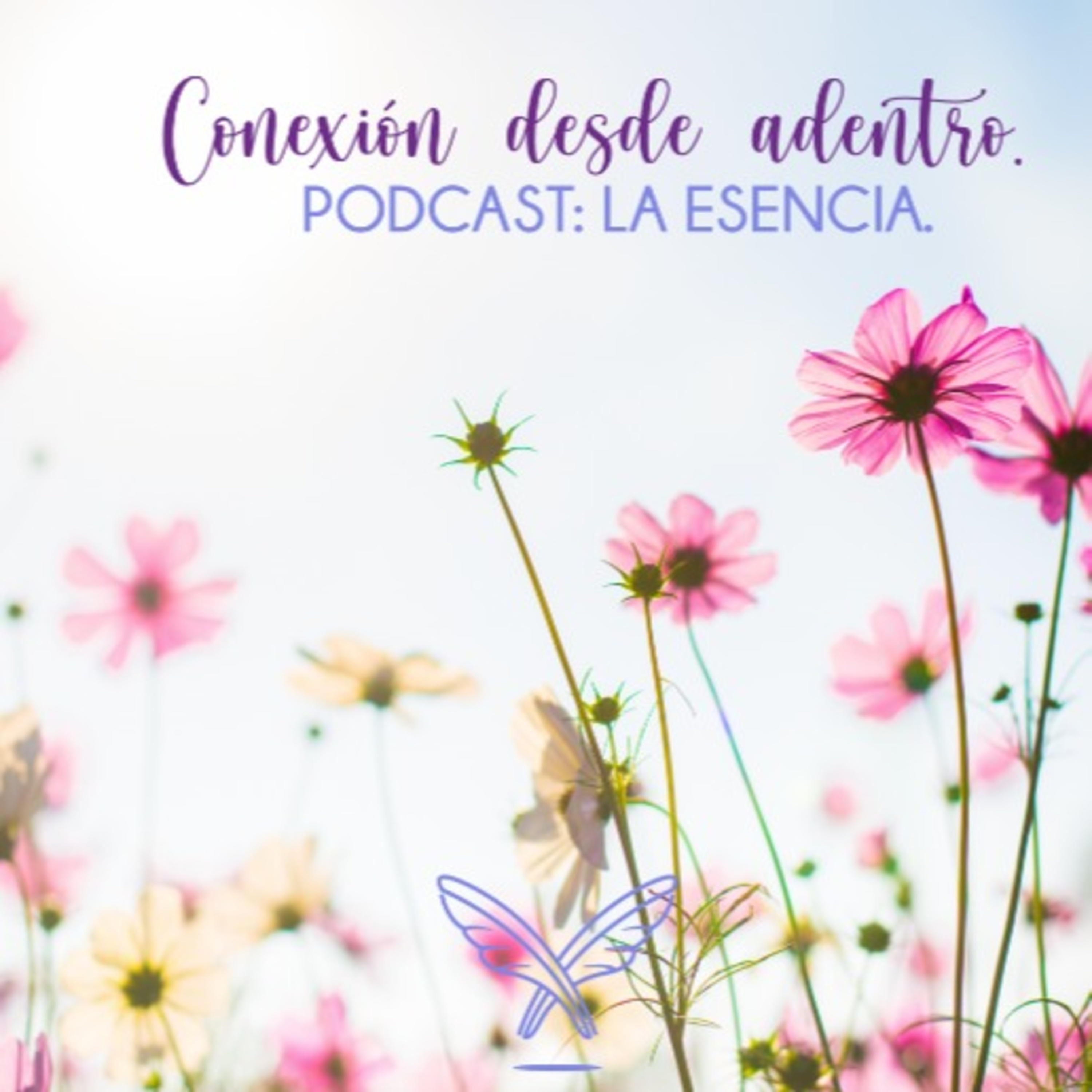 Conexión desde adentro: La esencia.