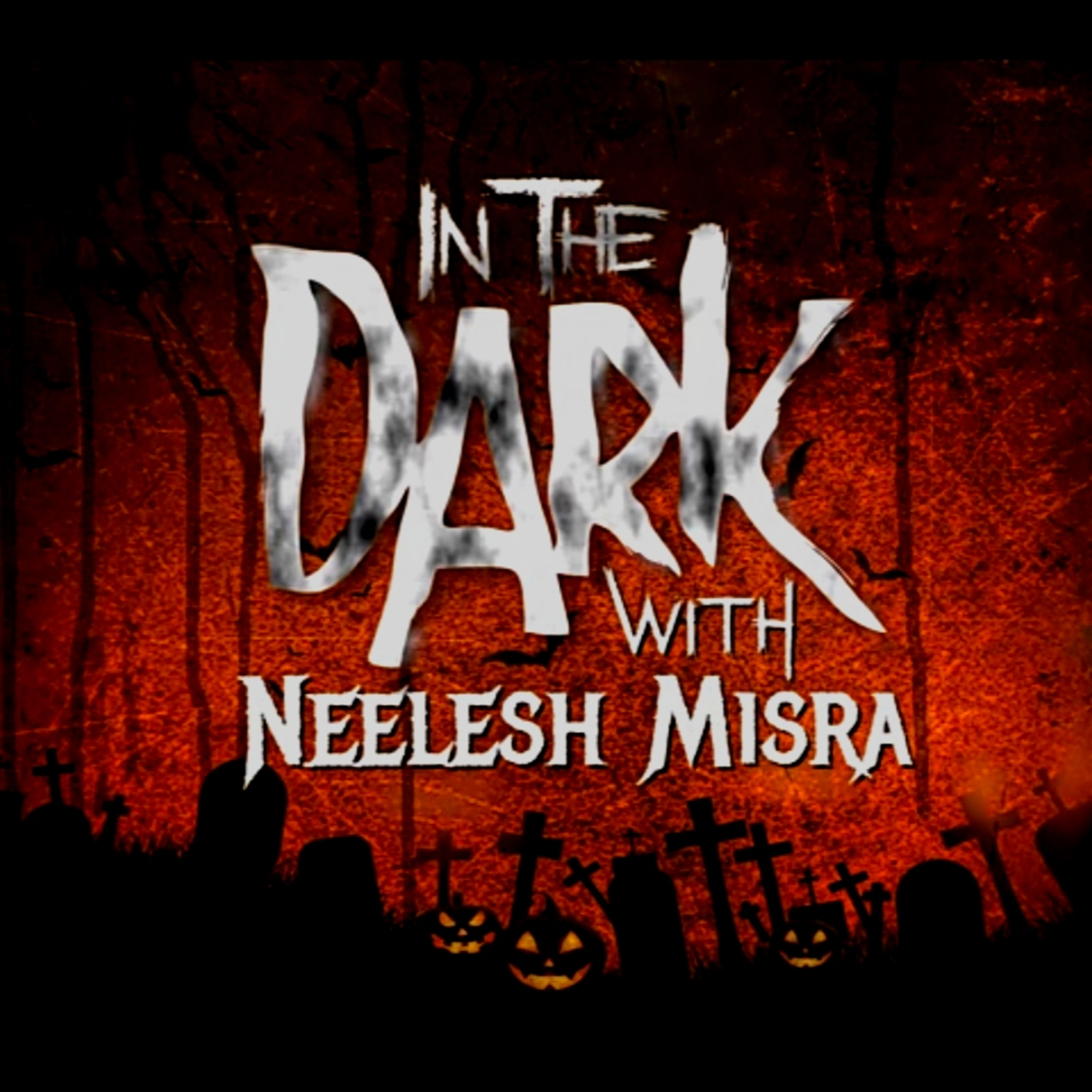 IN THE DARK WITH NEELESH MISRA
