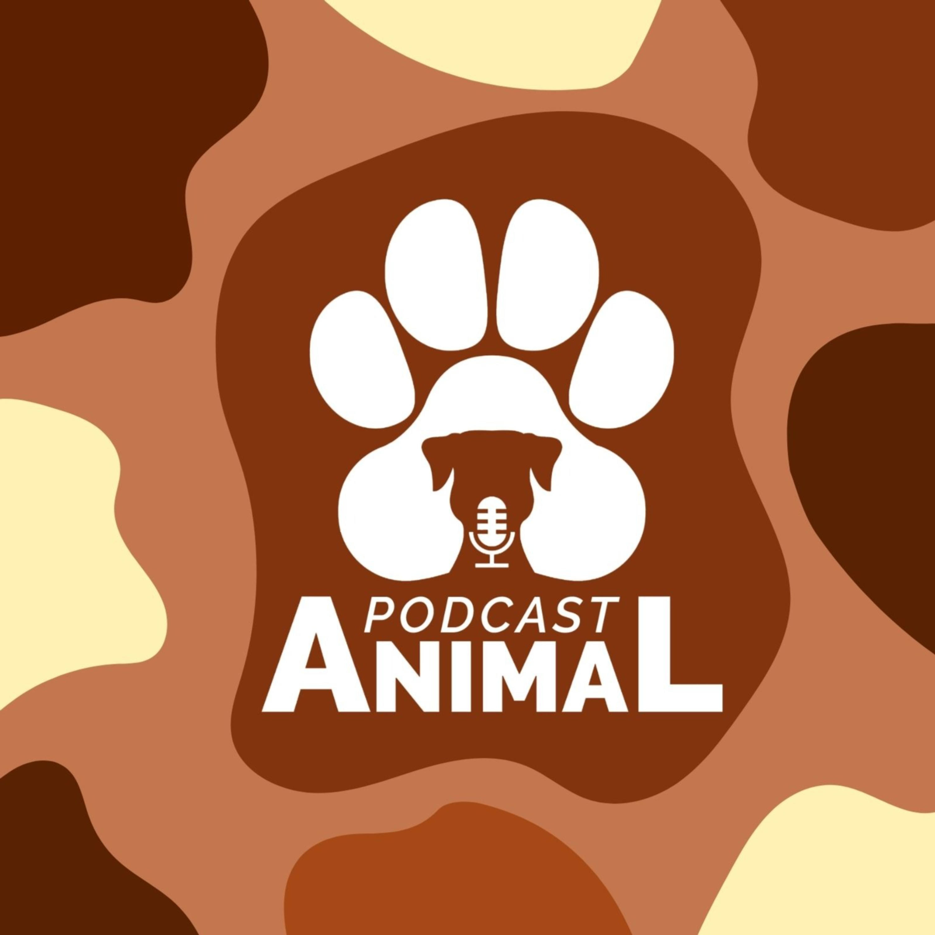 Podcast Animal