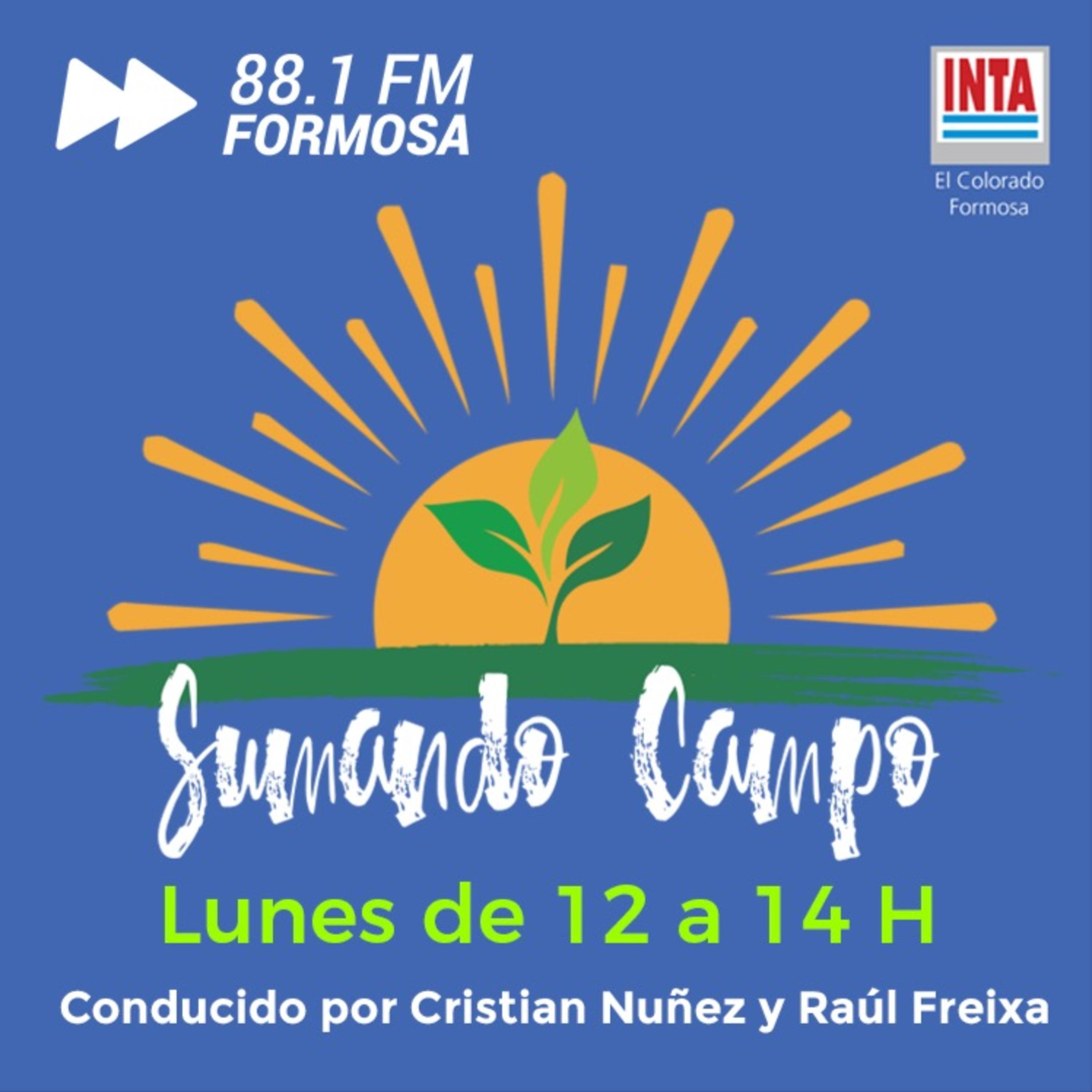 INTA Sumando Campo