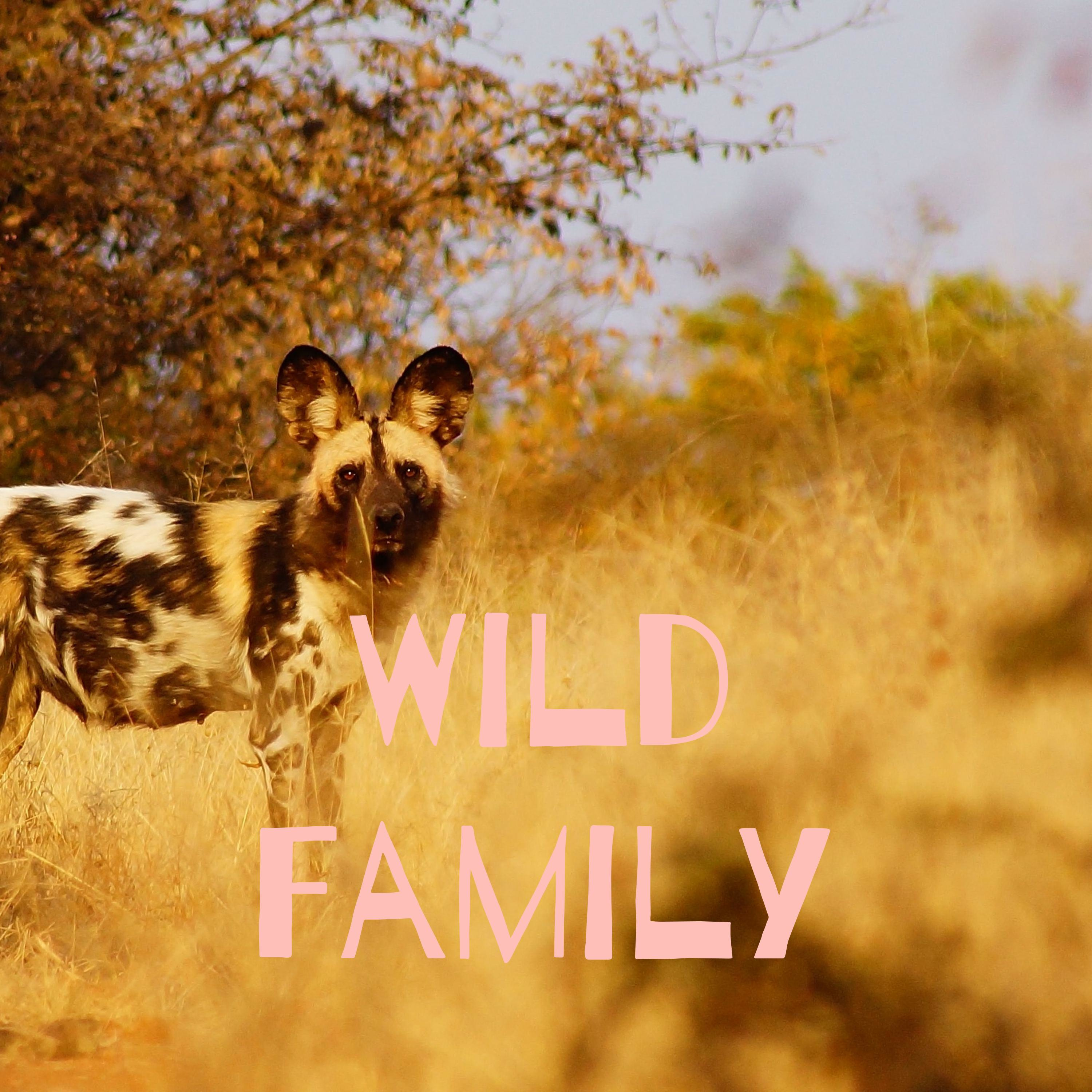 Wild Family