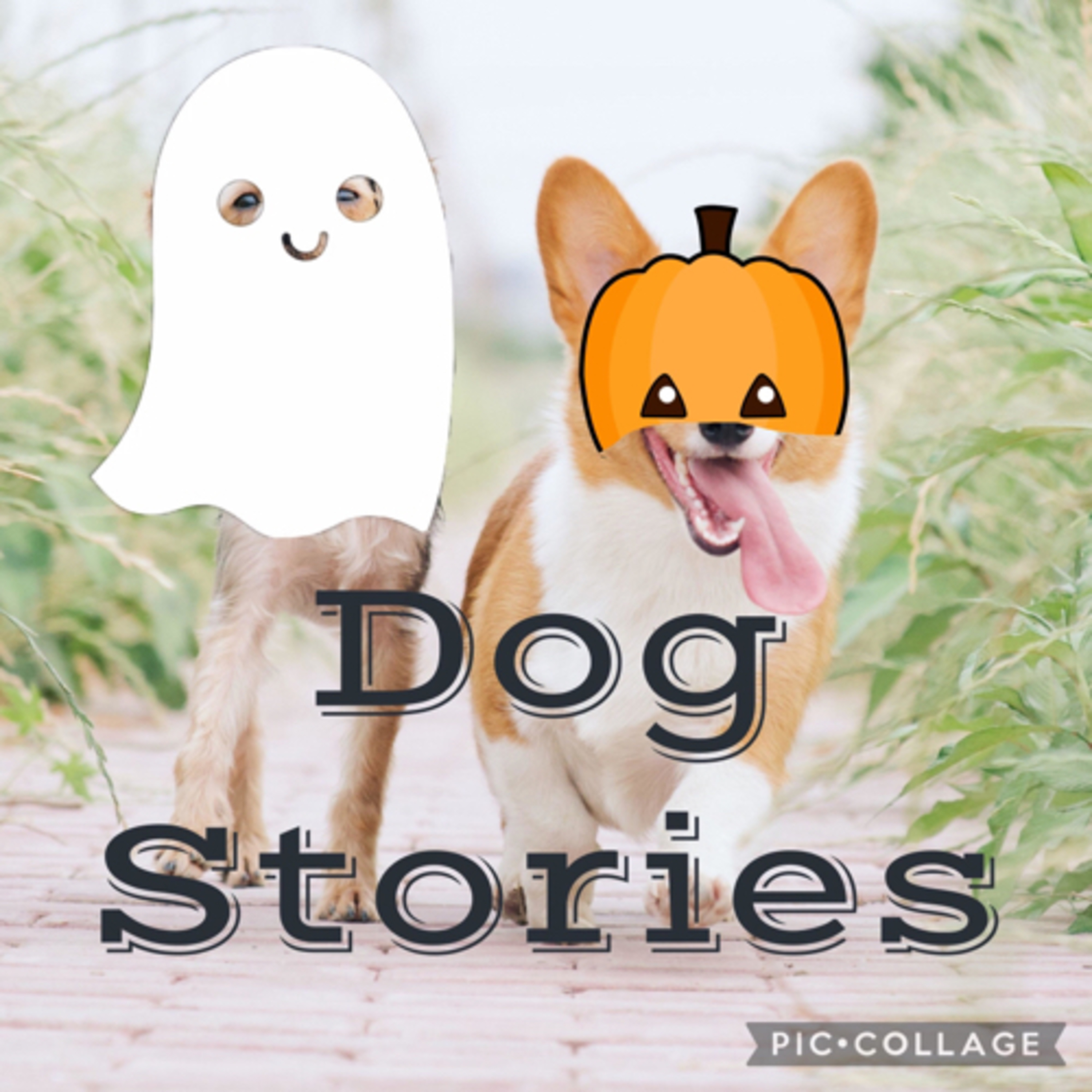 Dog Stories podcast artwork