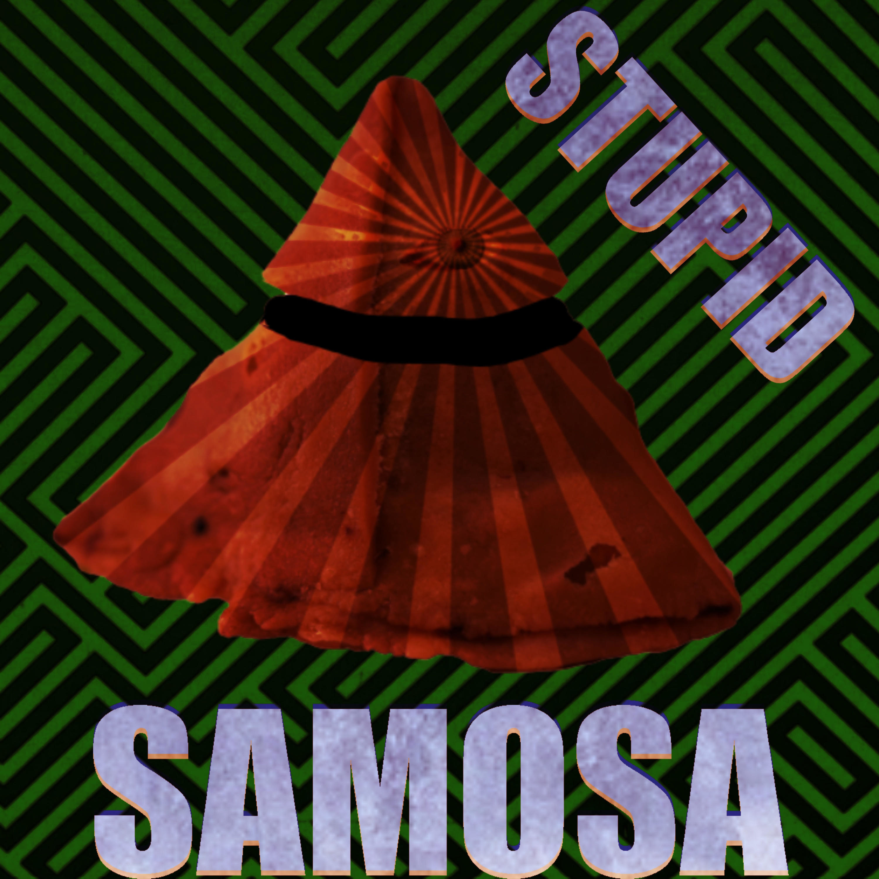 Stupid Samosa