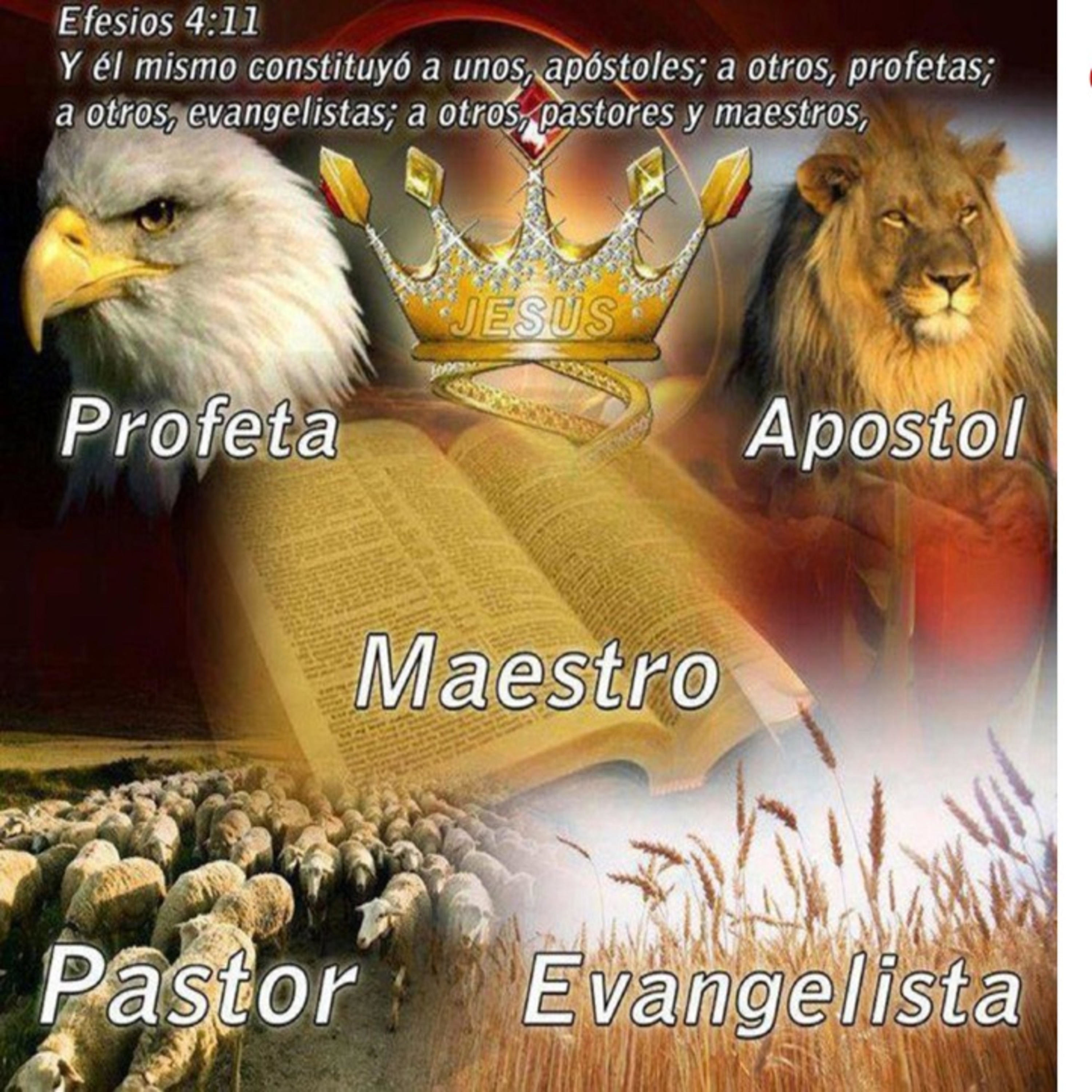 Ultimo Ministerio de la Novia Gentil
