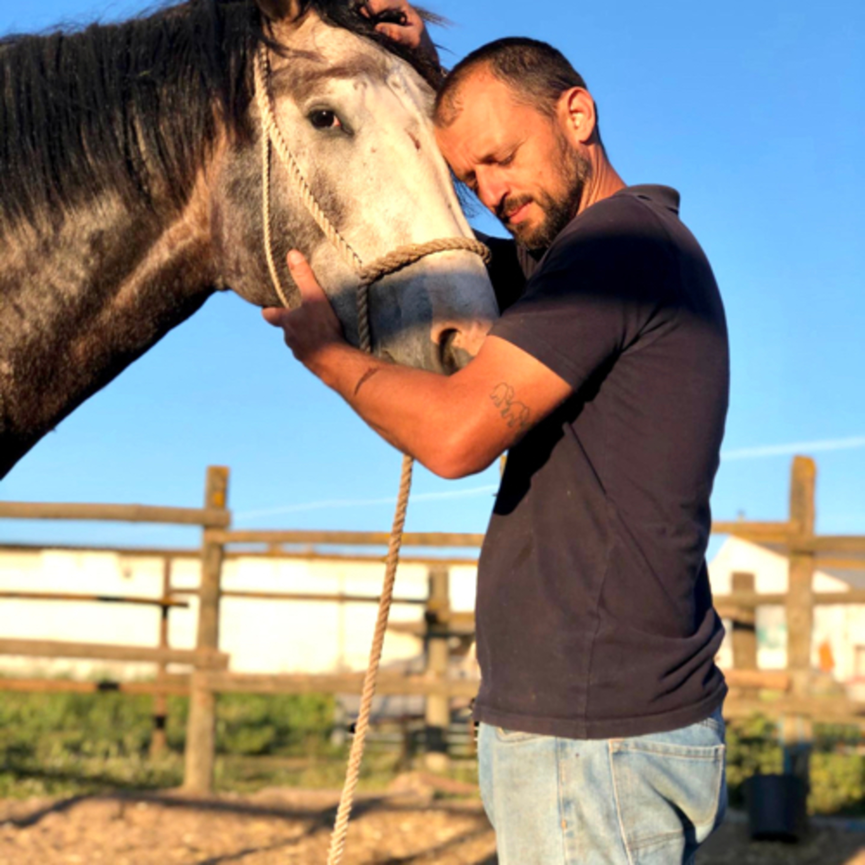 AndréHorseCast