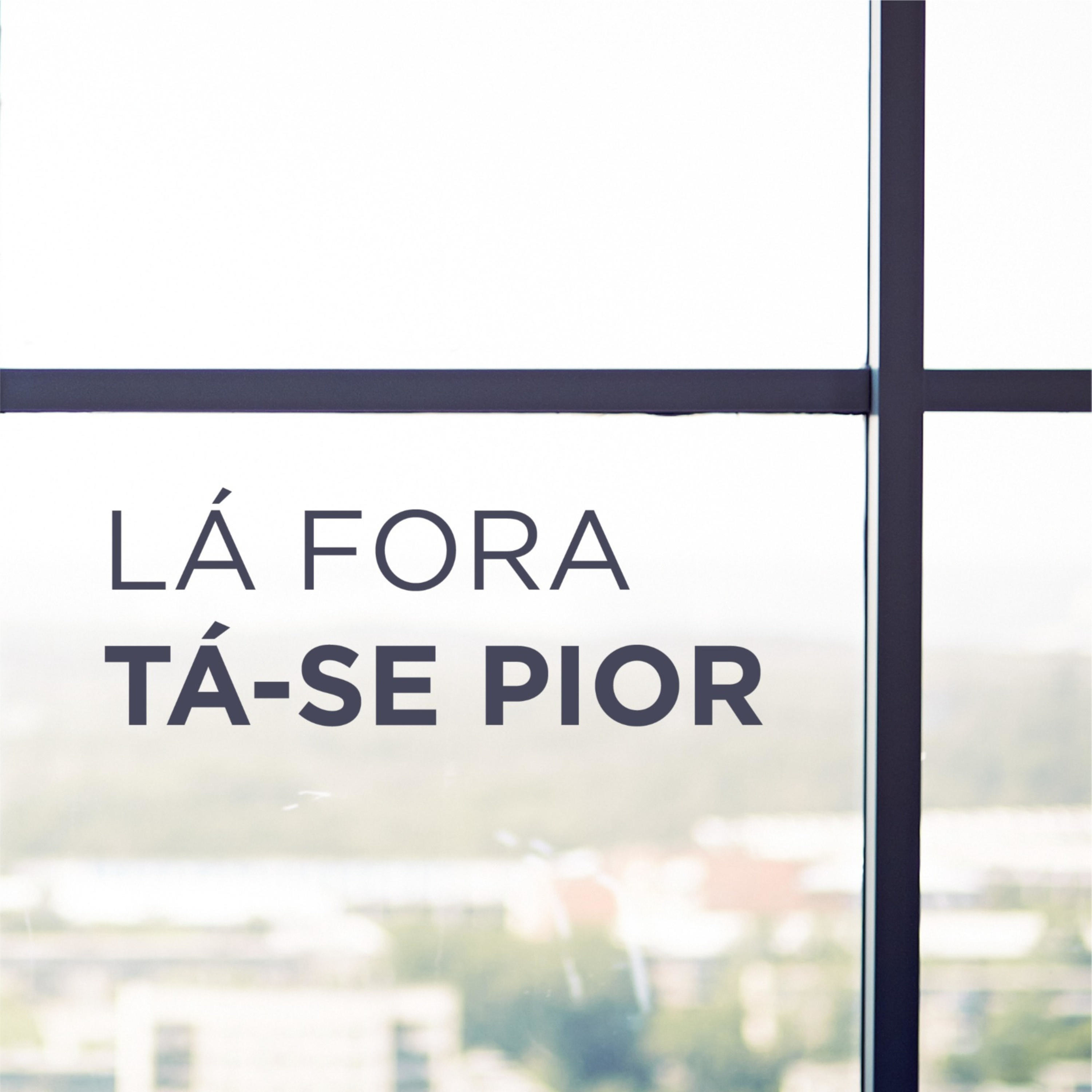 SEGUNDO DIA