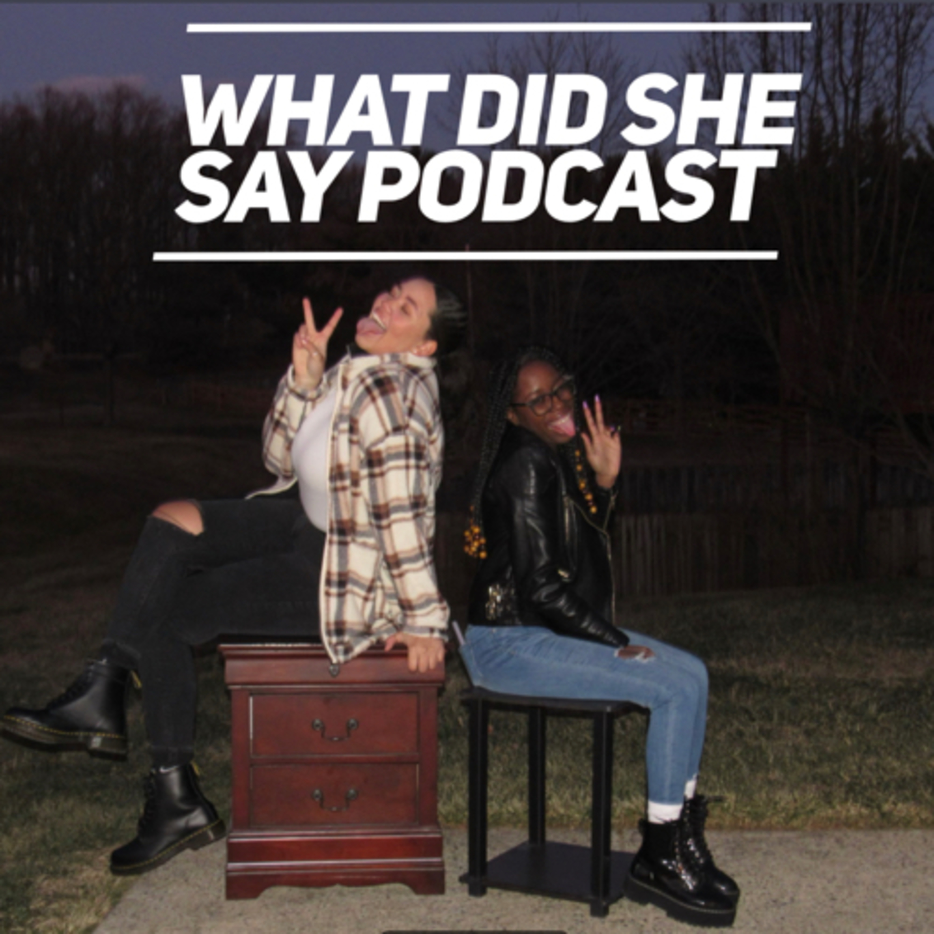 What Did She Say Podcast