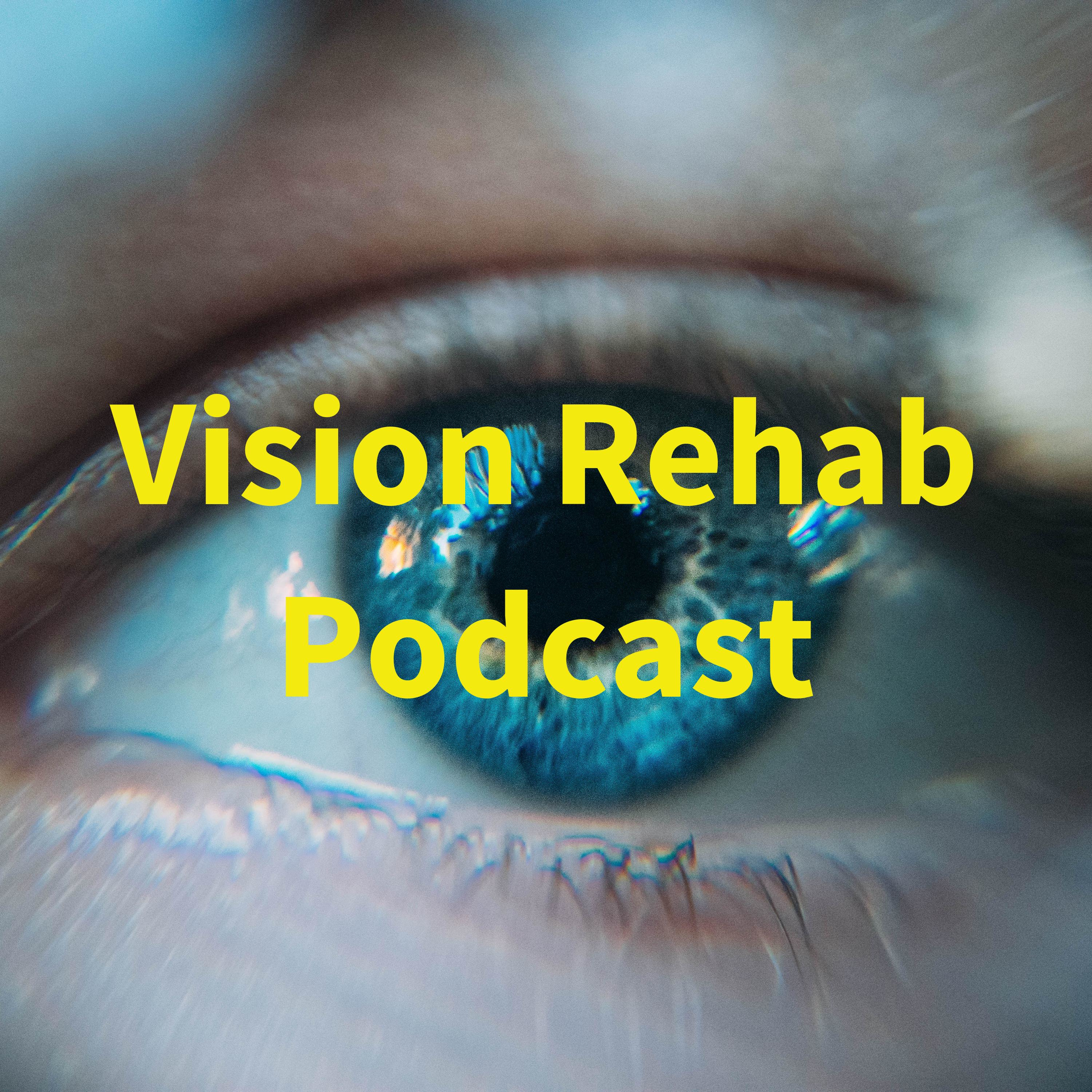 Who's Certified to Provide Vision Rehabilitation Services