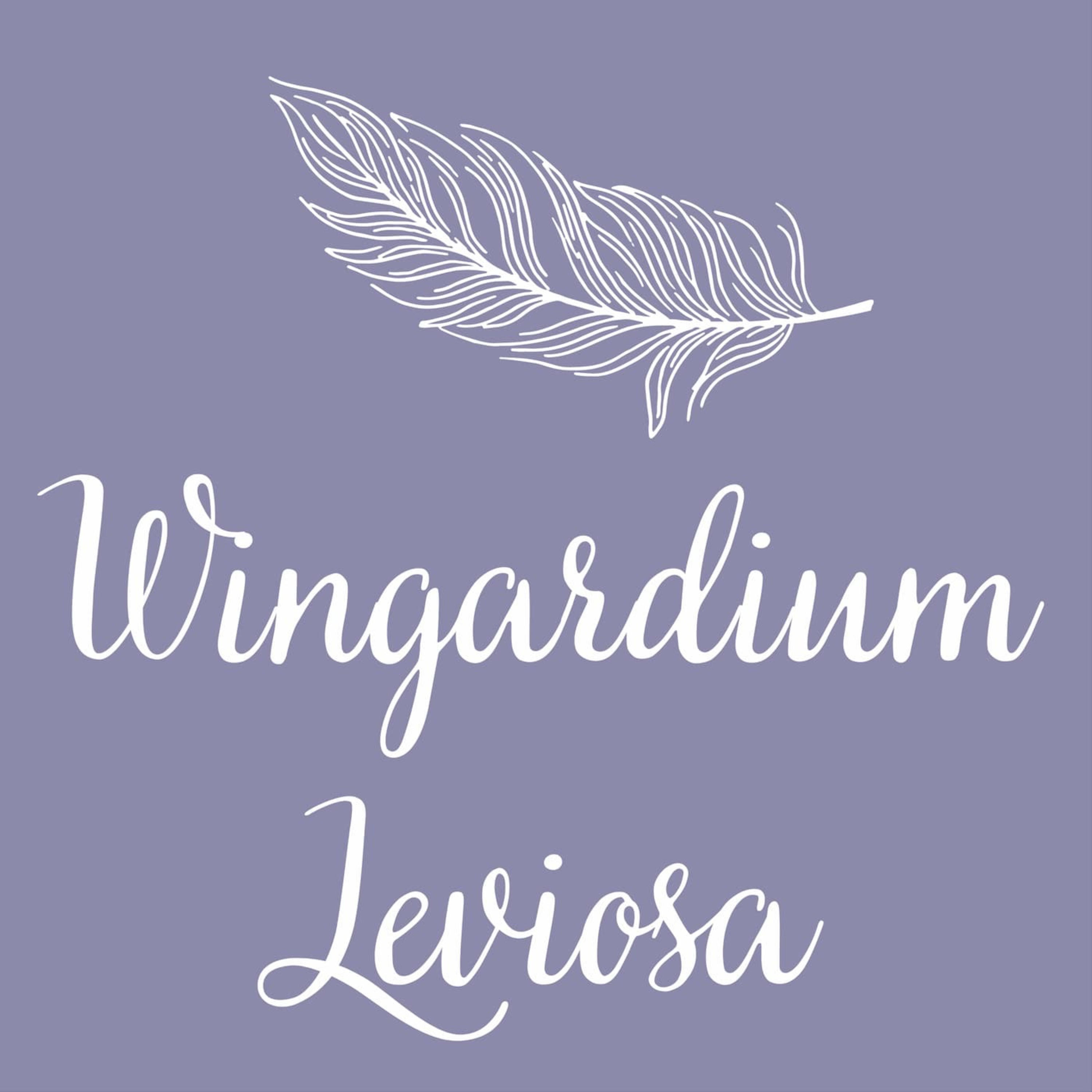 Wingardium Leviosa - Harry Potter Podcast von Julia und Sophie