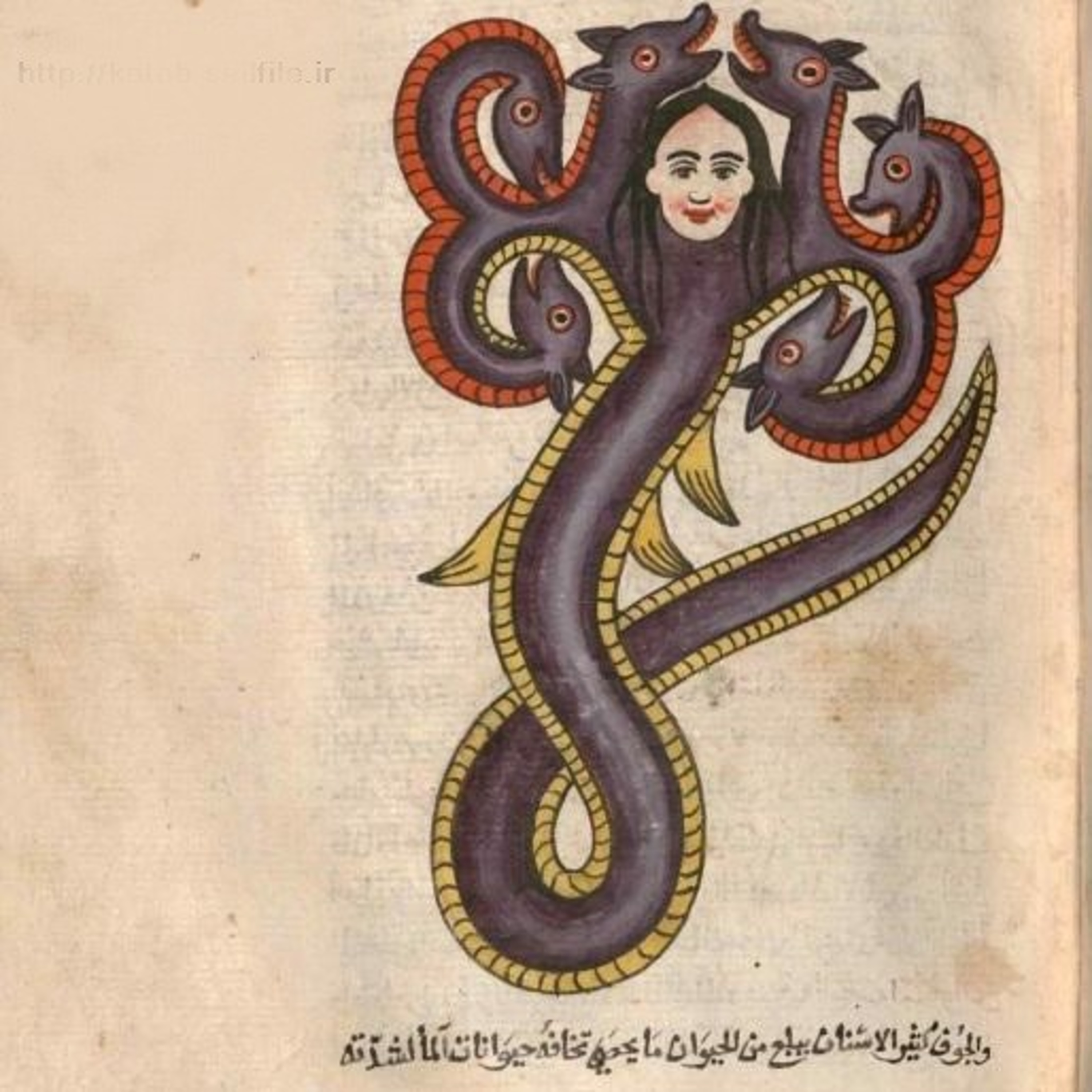 کاور عجایب نامه ها