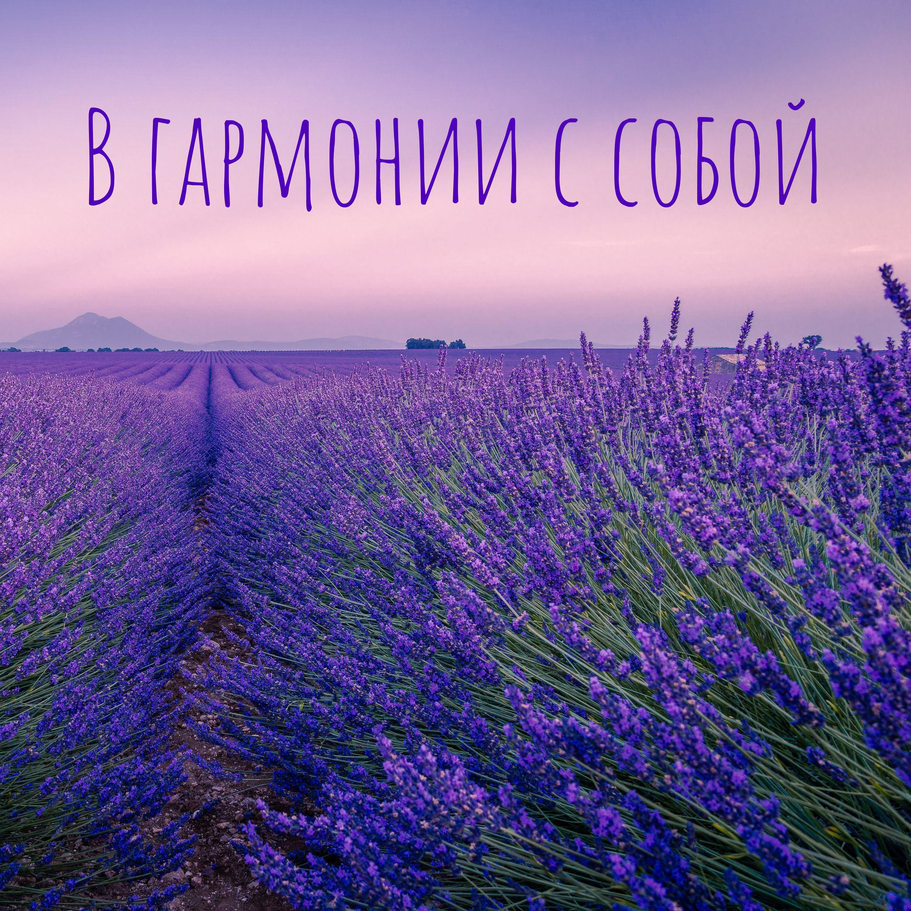 В гармонии с собой 
