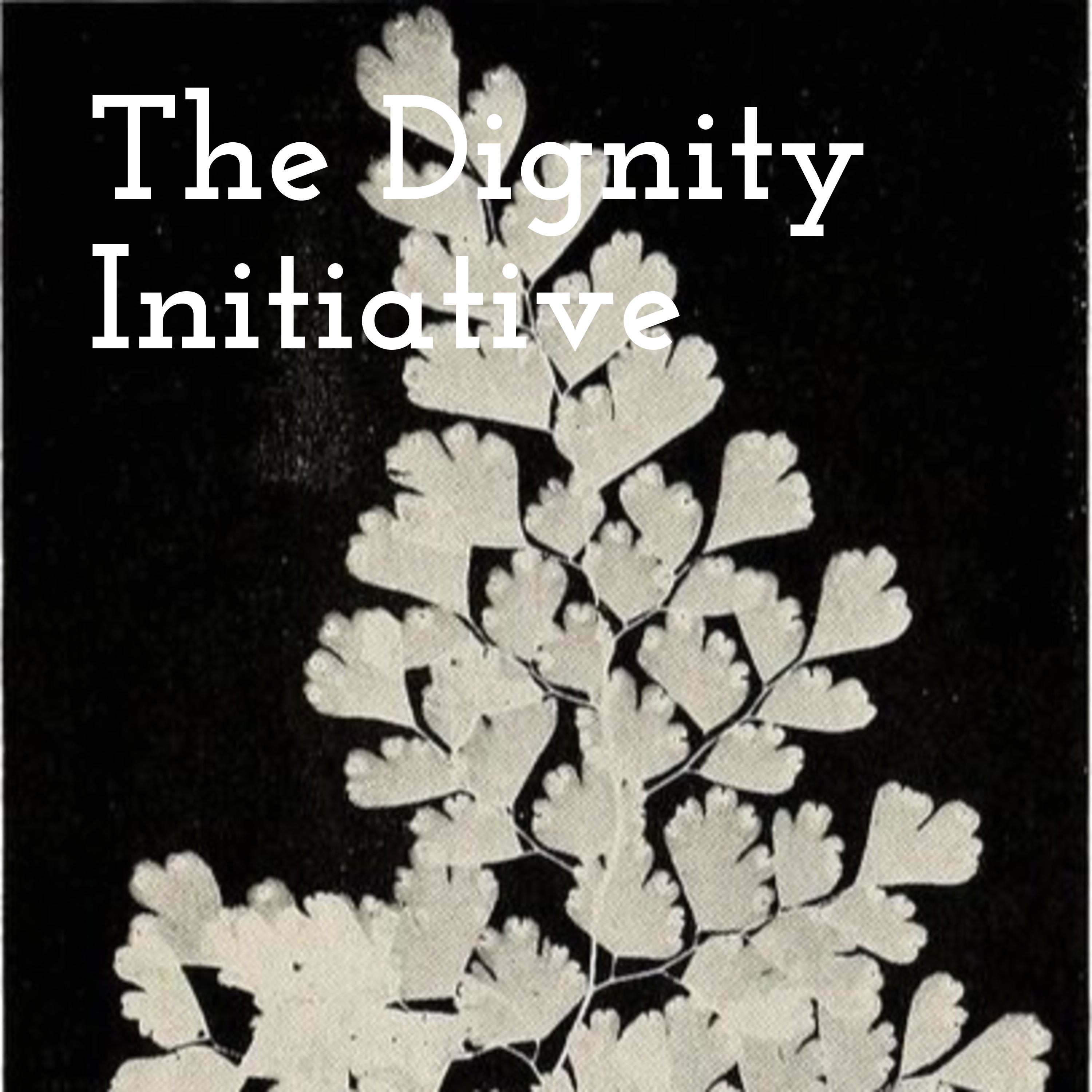 The Dignity Initiative podcast artwork