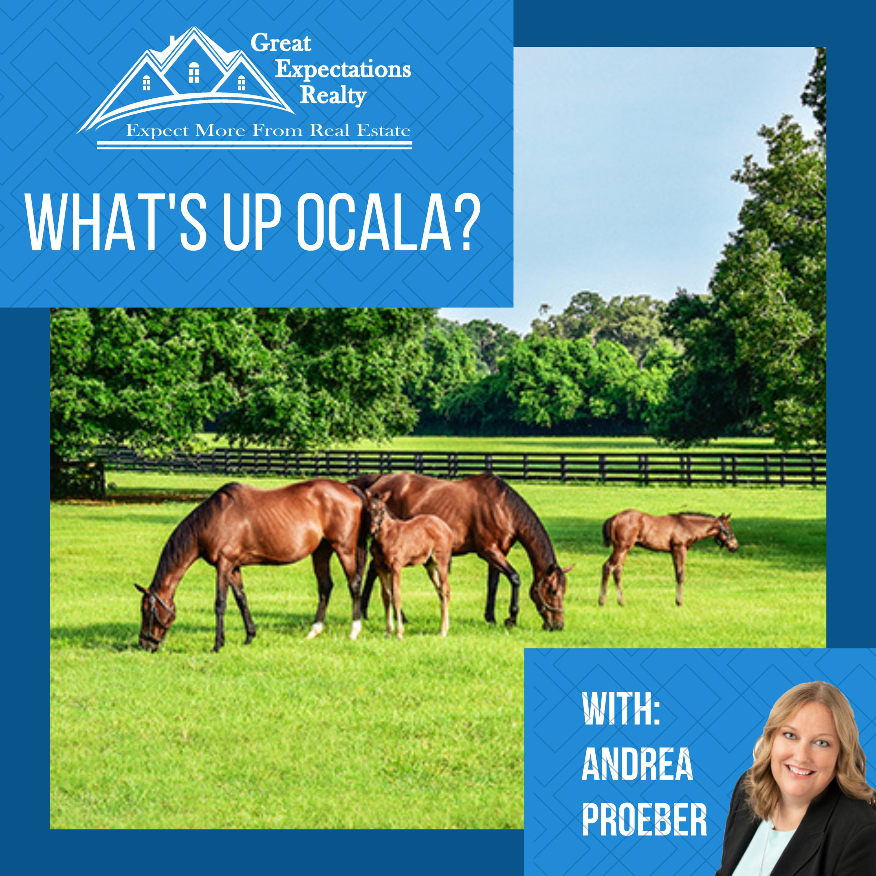 What\'s Up Ocala?