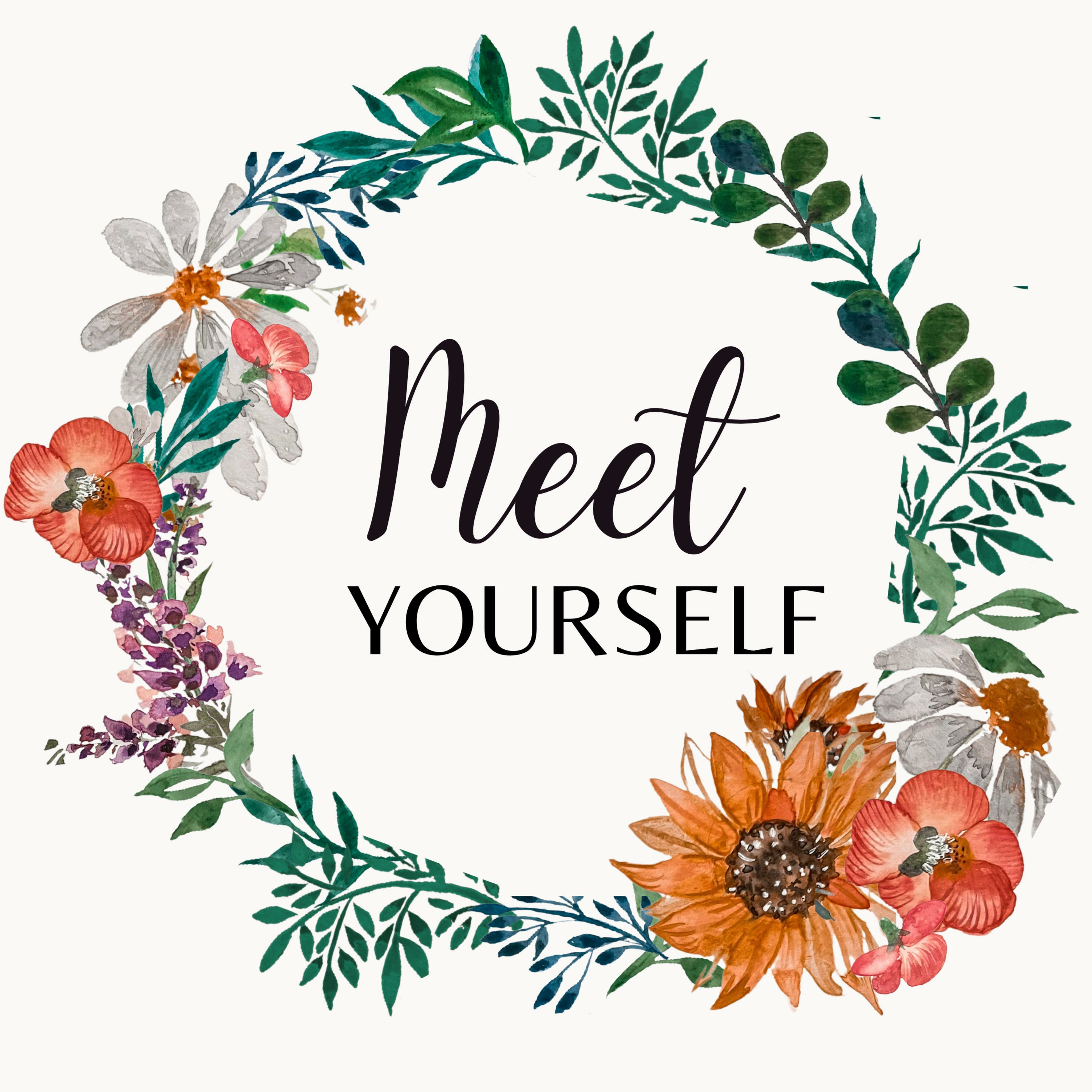 Meet Yourself podcast artwork