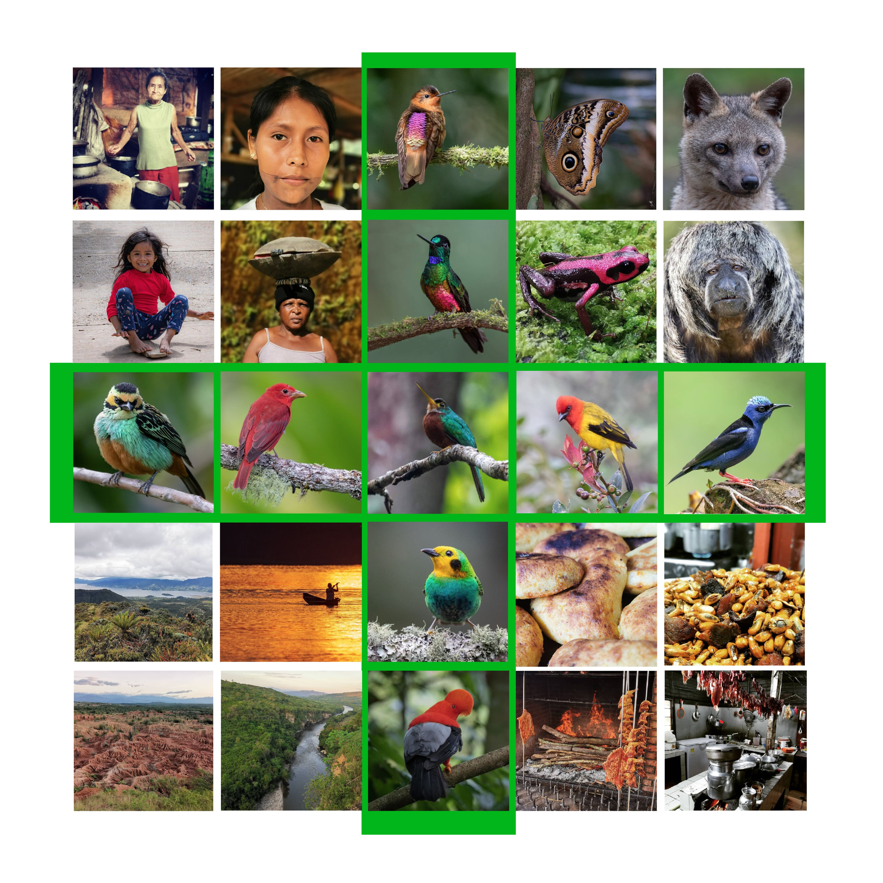Unidos x Las Aves podcast artwork