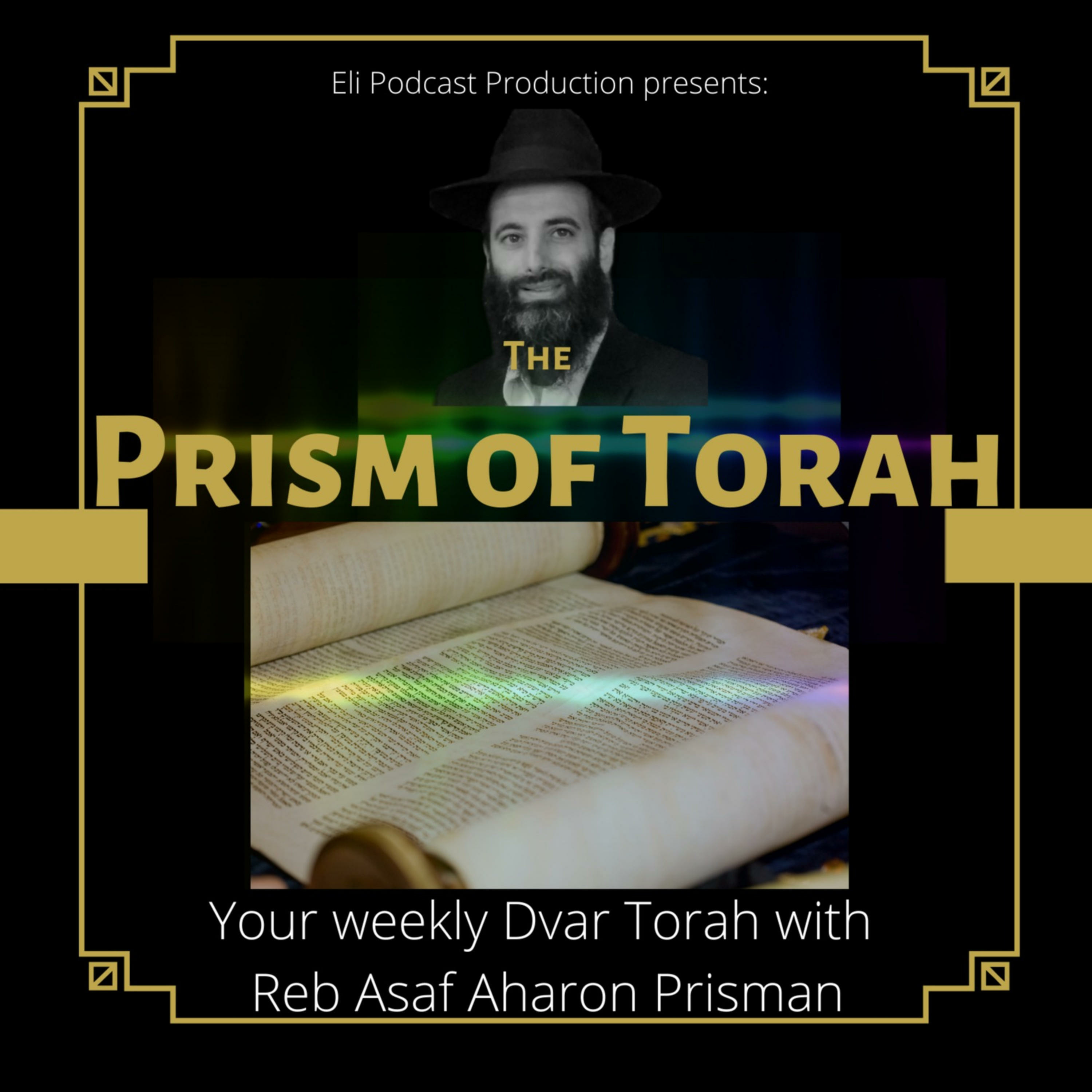 19: Parshas Ki Savo- Happily ever after