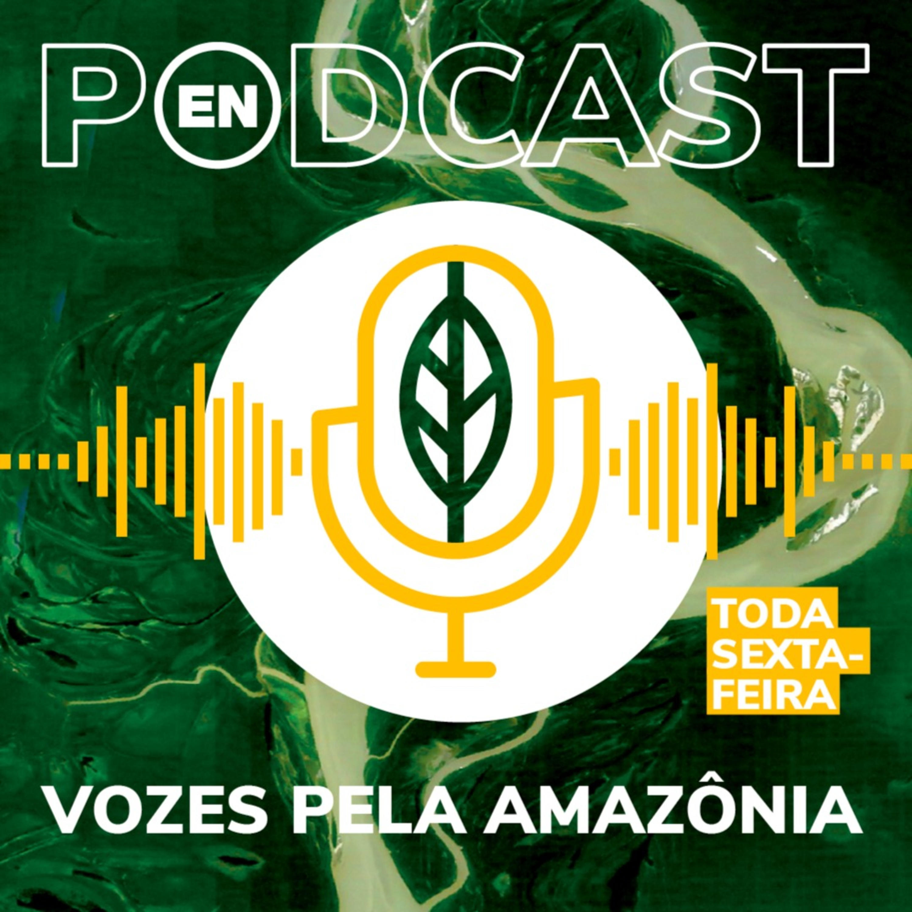 “Empresas precisam fazer muito mais pela Amazônia”, diz superintendente da FAS