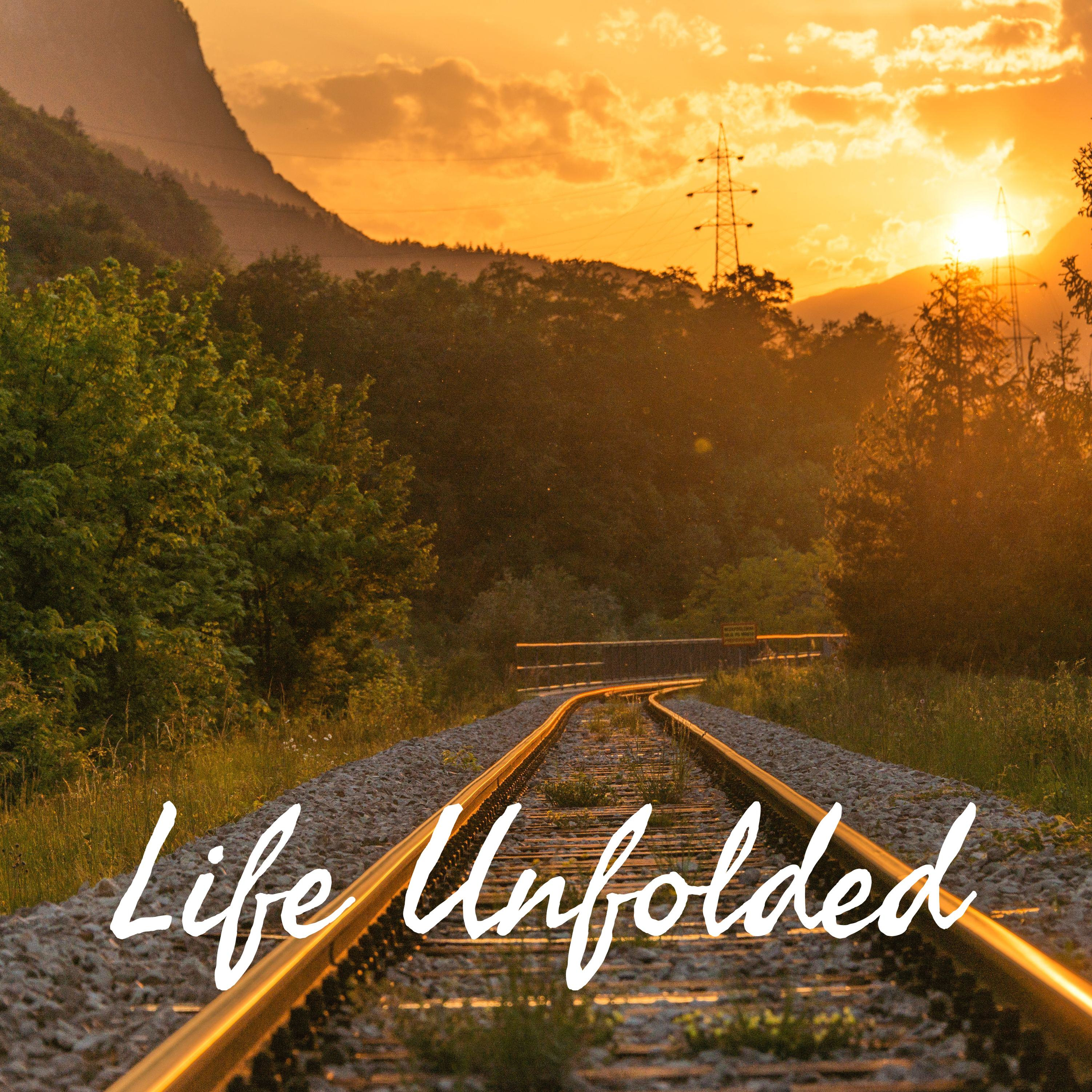 Life Unfolded