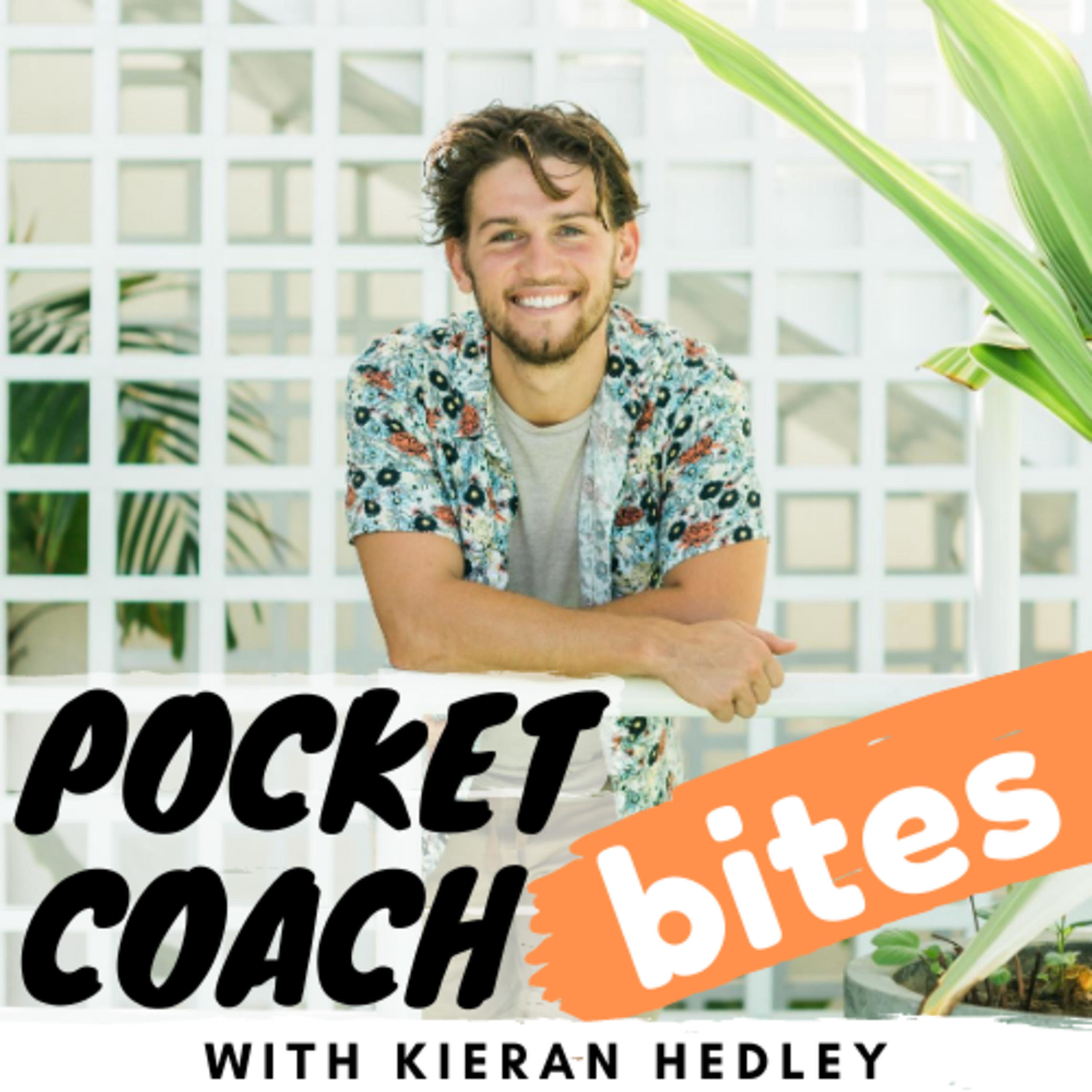 Pocket Coach Bites