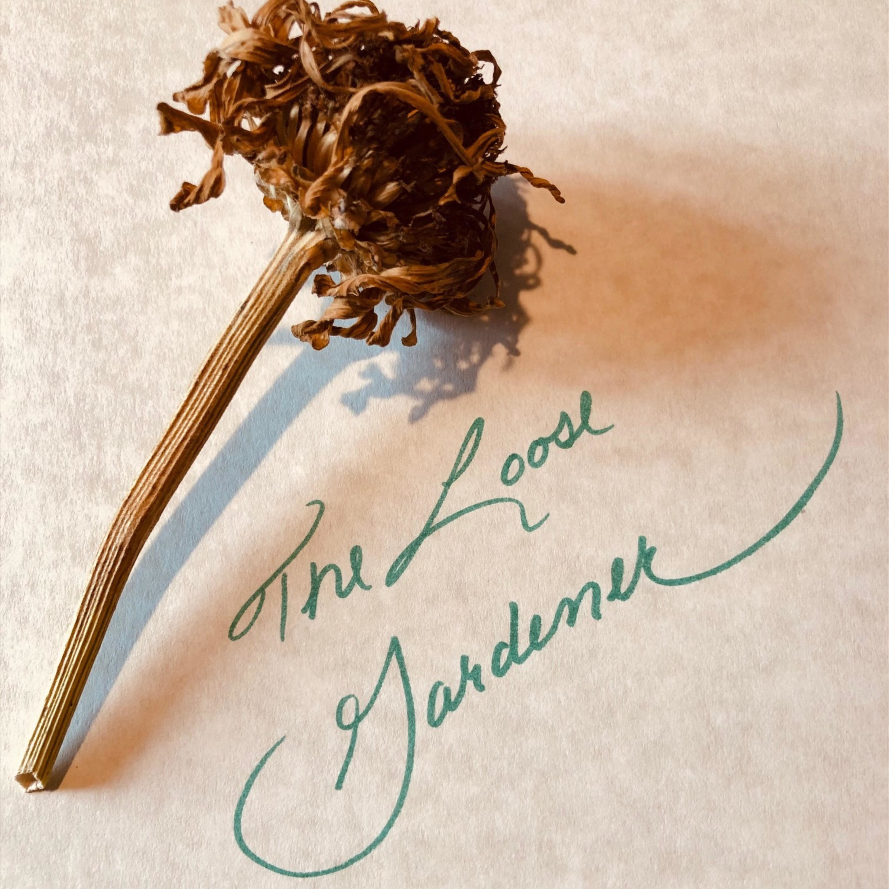 The Loose Gardener