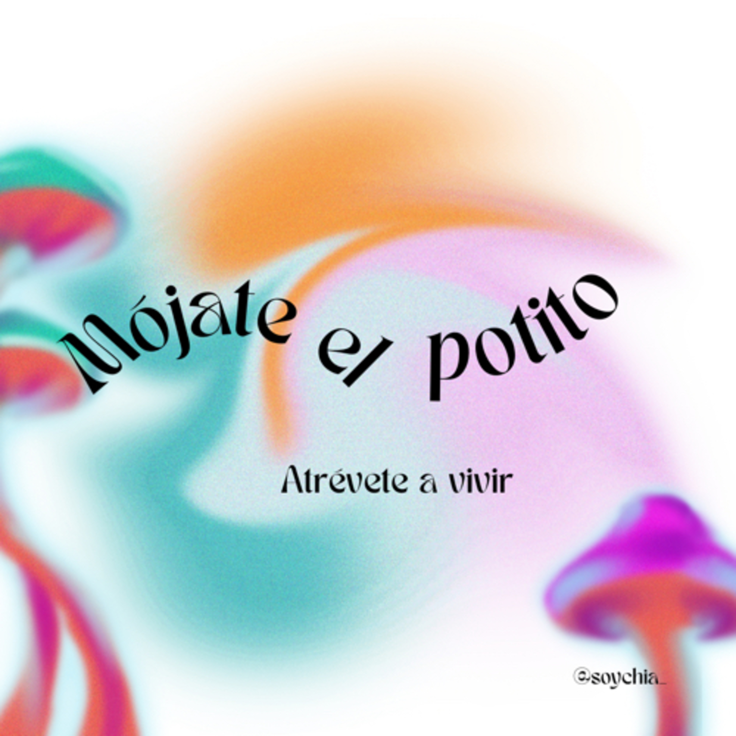 MOJATE EL POTITO