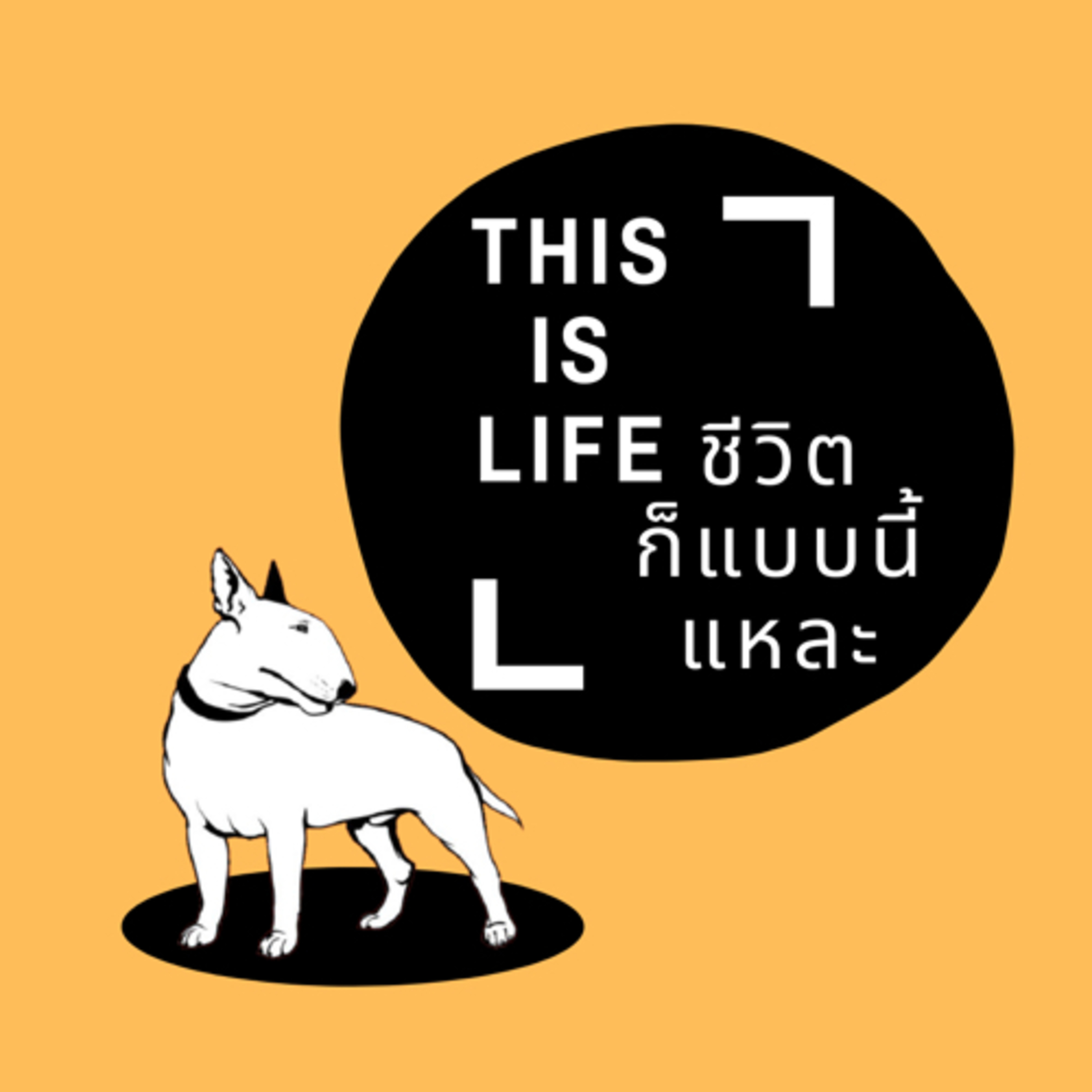 This is LIFE