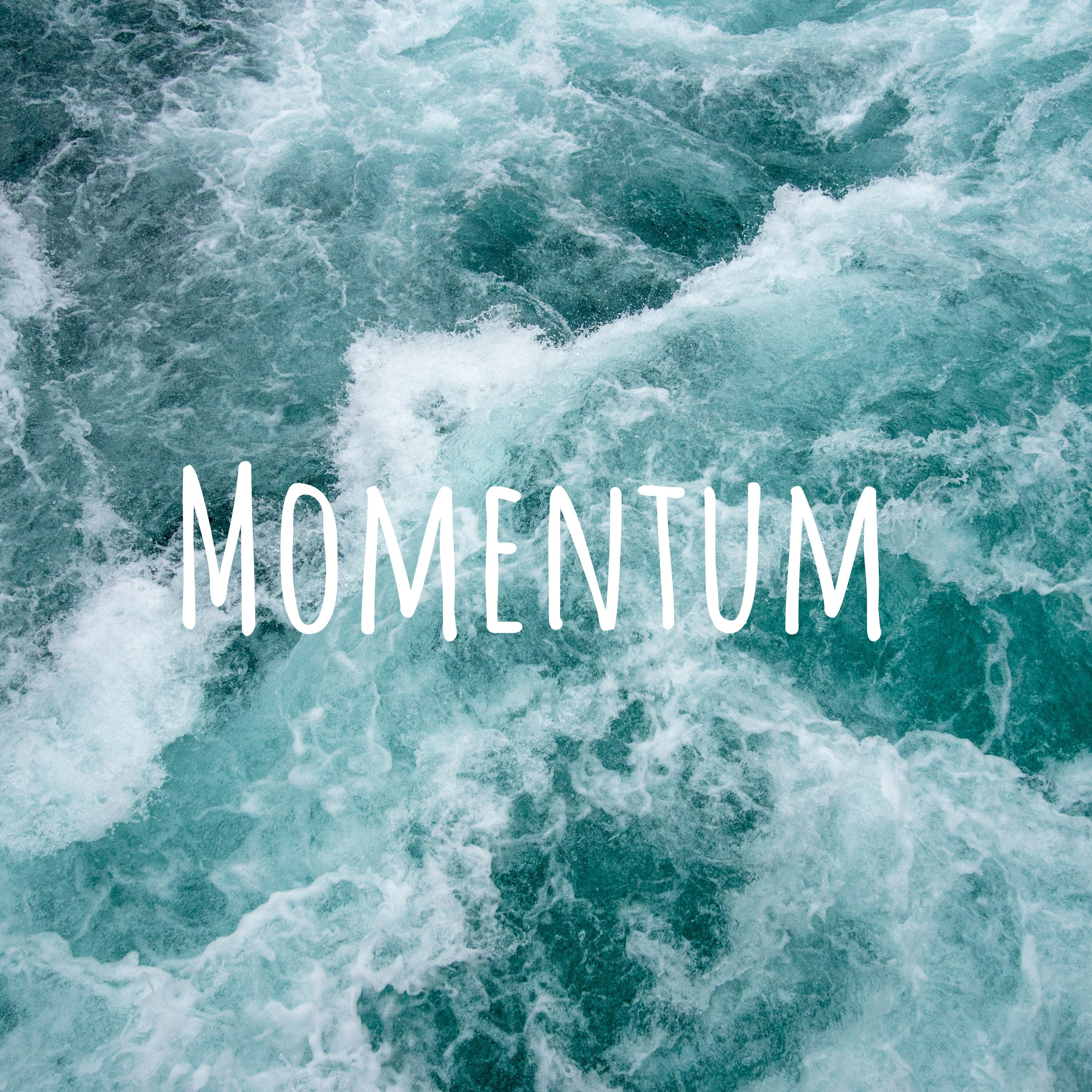 Momentum