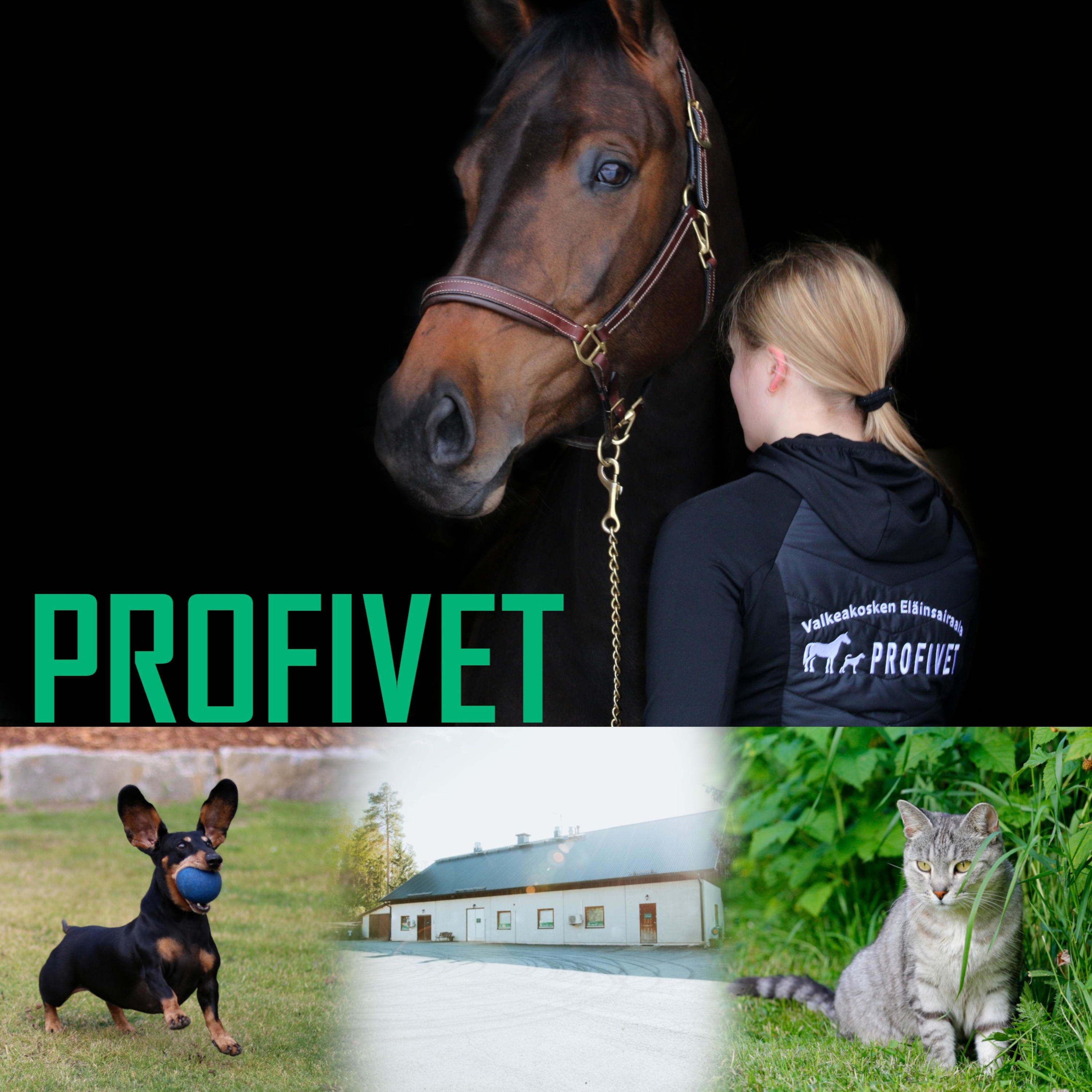 Profivet