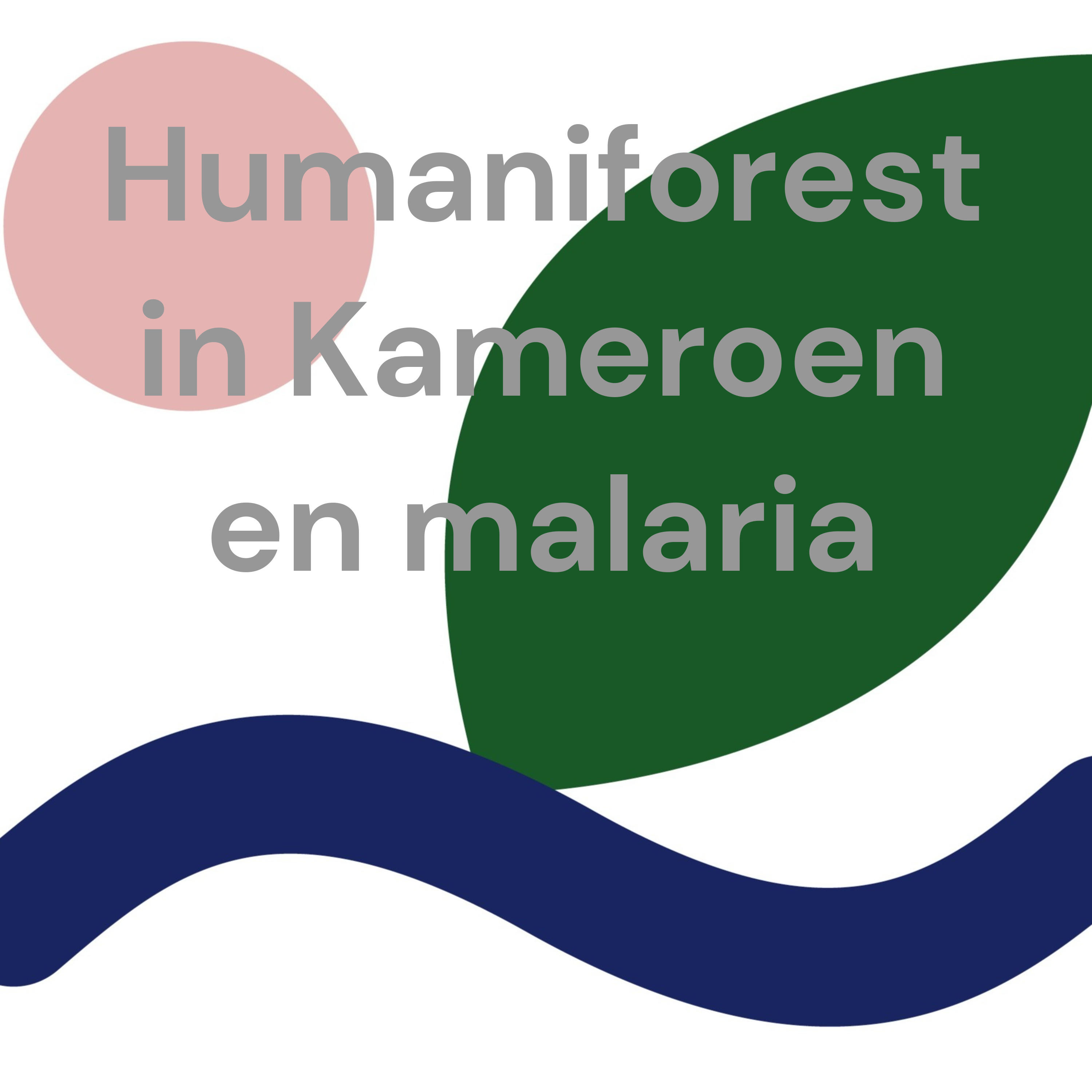Humaniforest in Kameroen en malaria