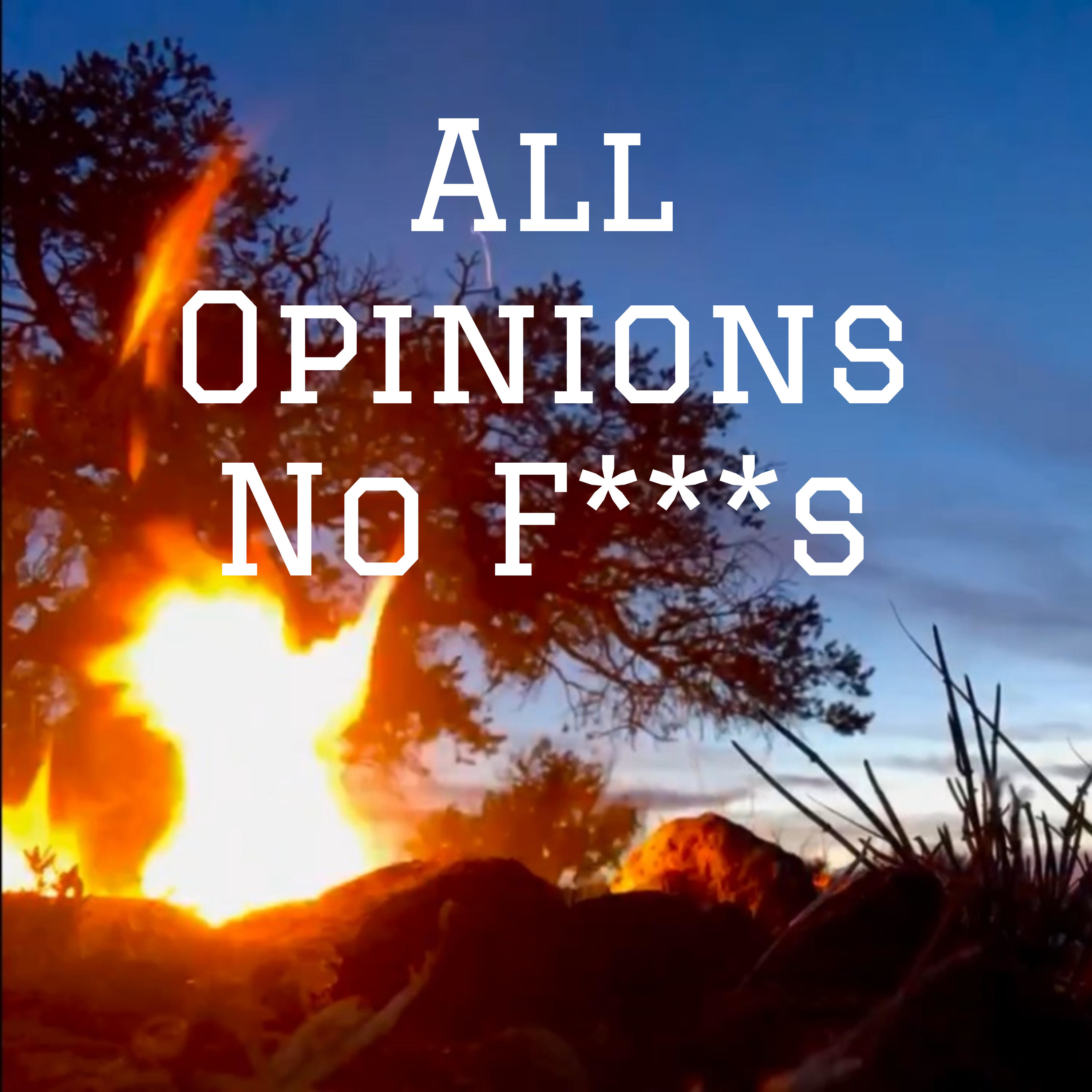 All Opinions No F***s