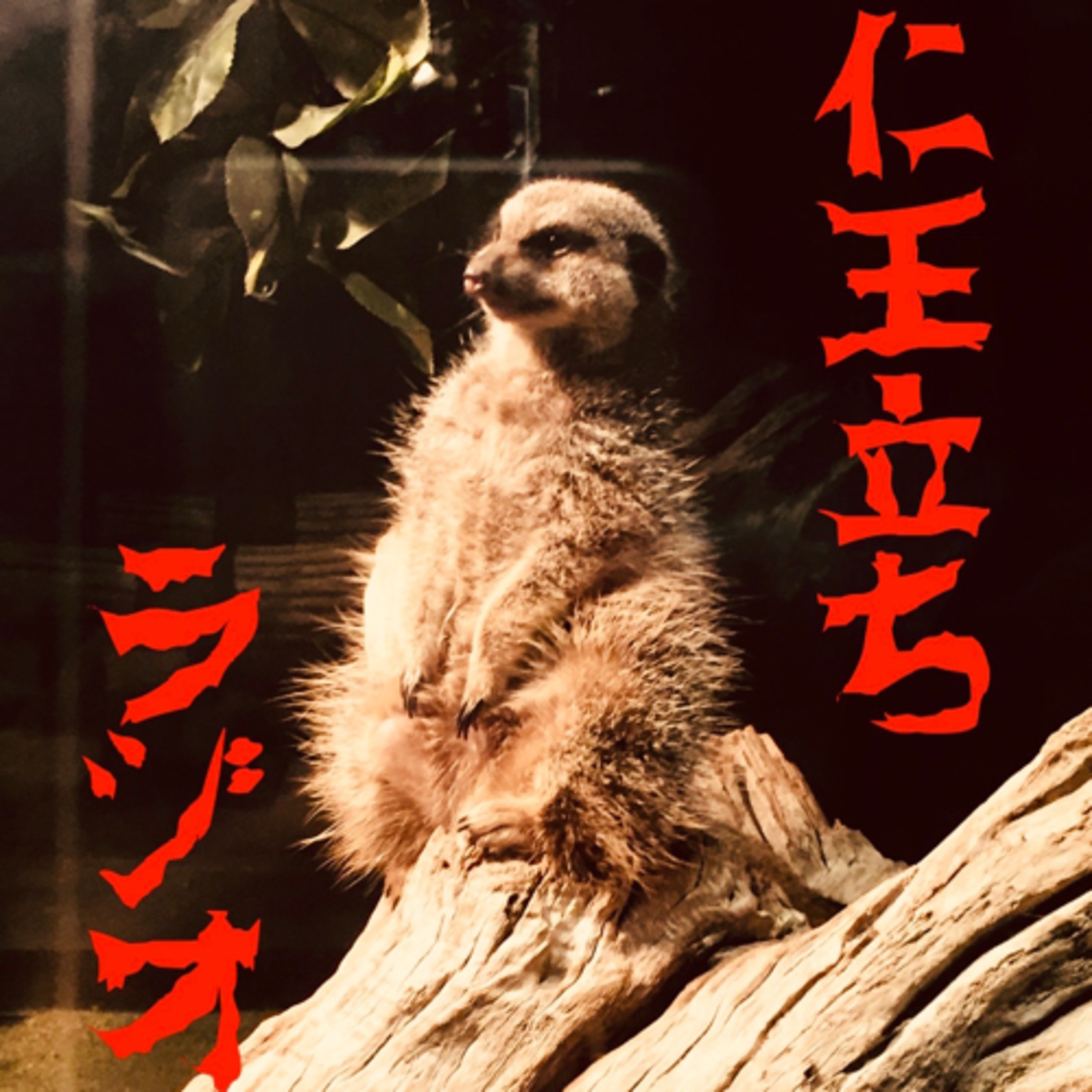 仁王立ちラジオ