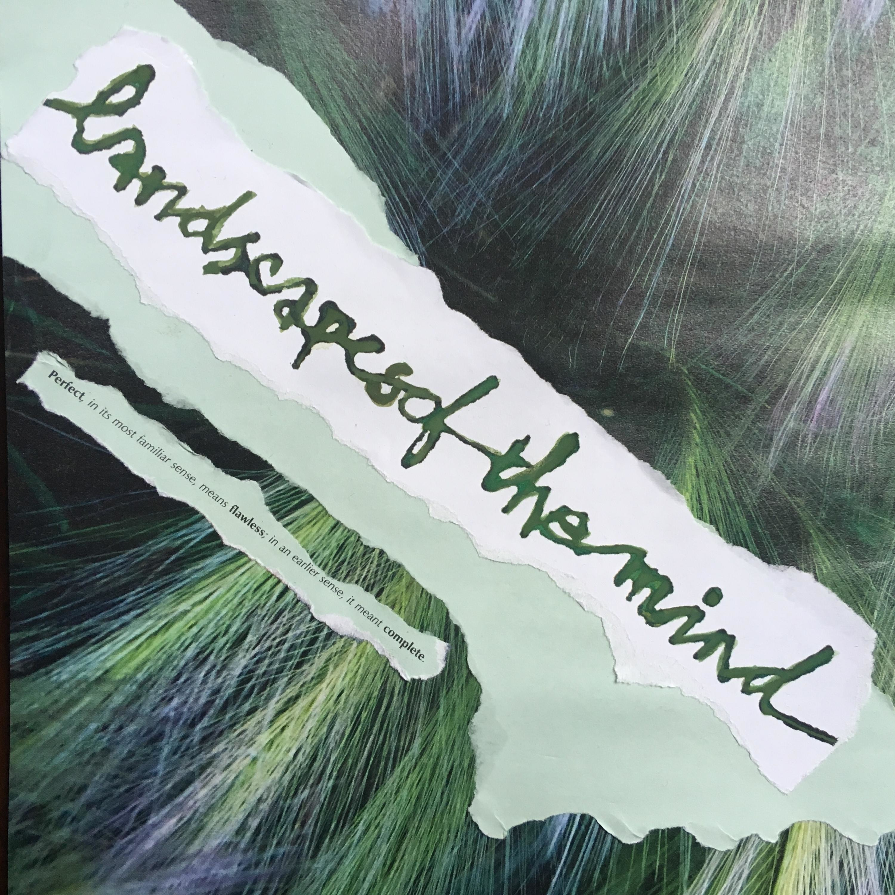 Landscapes of the Mind Landscapes of the Mind